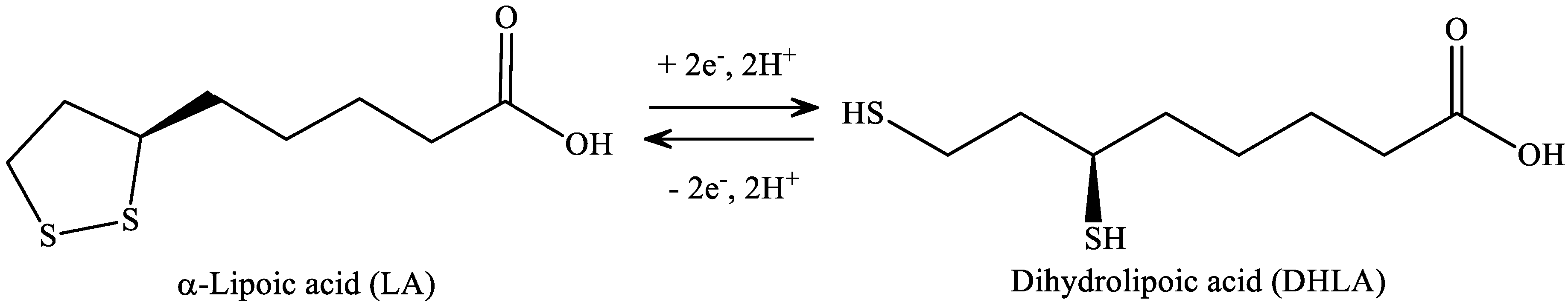 Ijms 22 00403 g007 Ijms 22 00403 g007