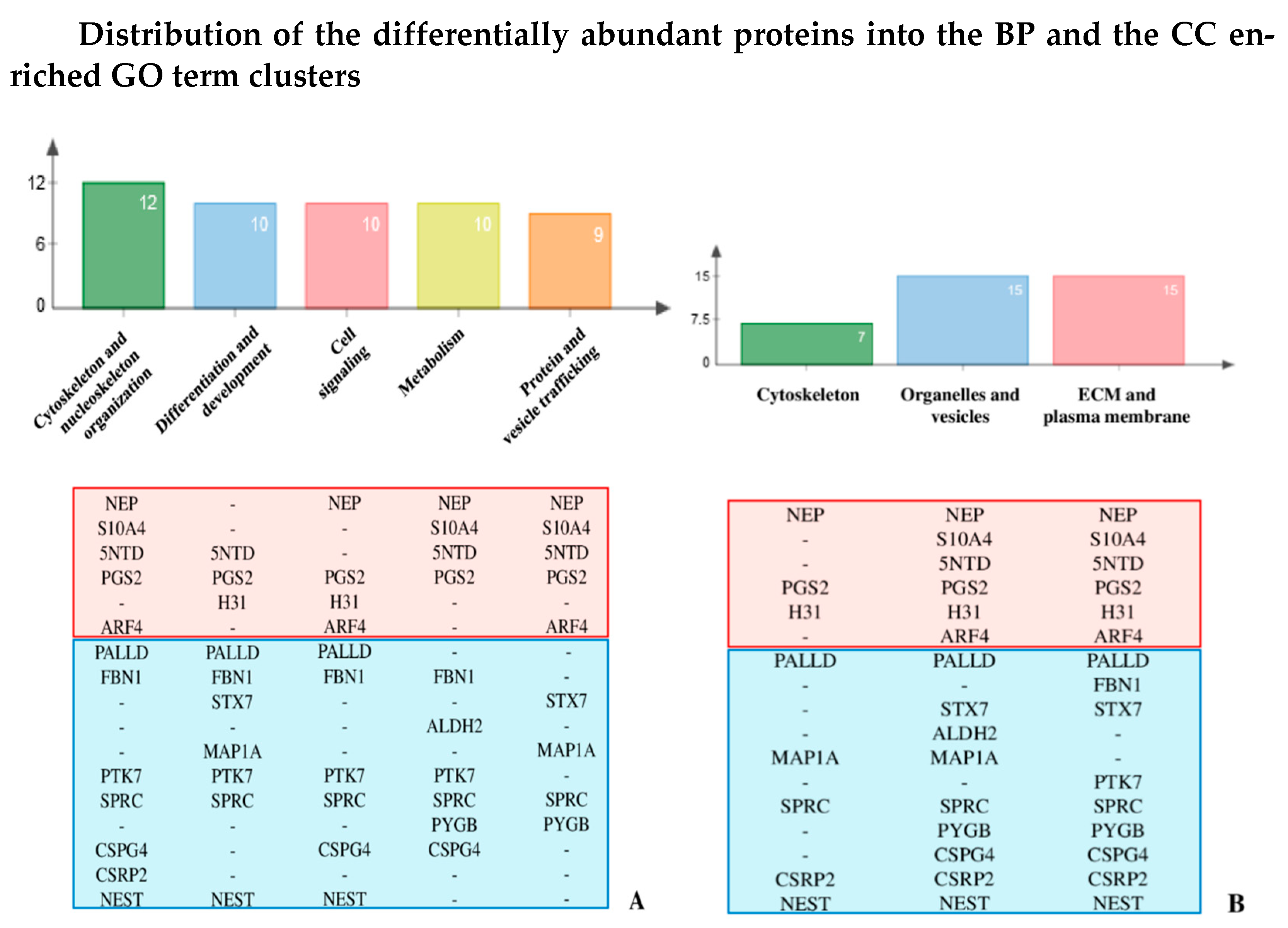 Ijms 22 00429 g002 Ijms 22 00429 g002