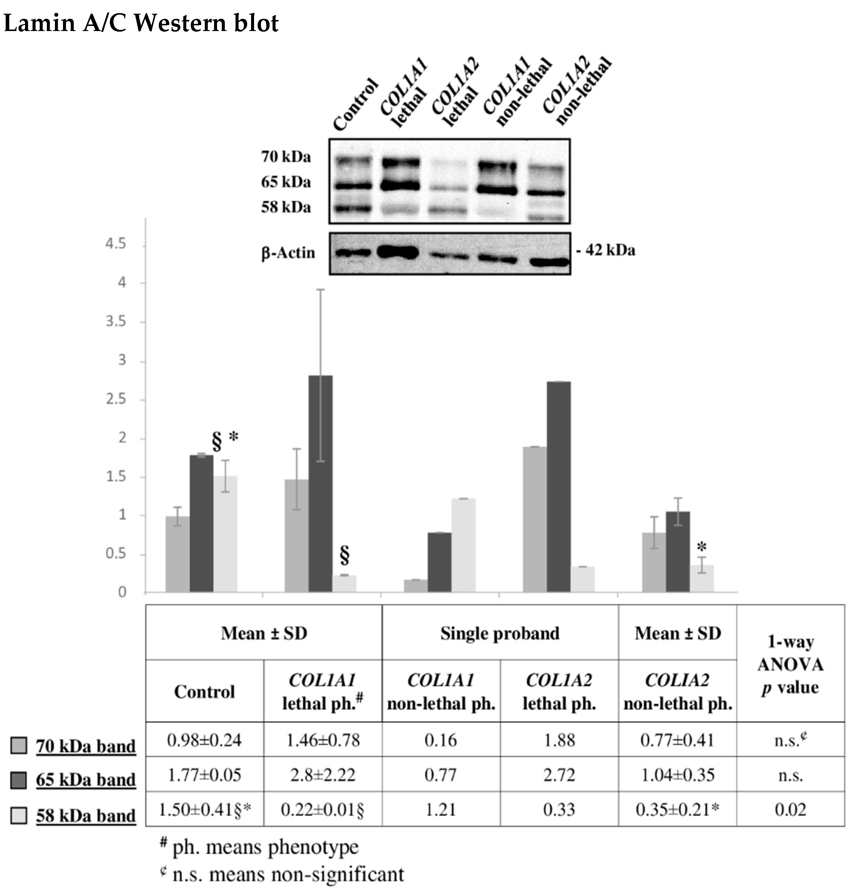 Ijms 22 00429 g007 Ijms 22 00429 g007
