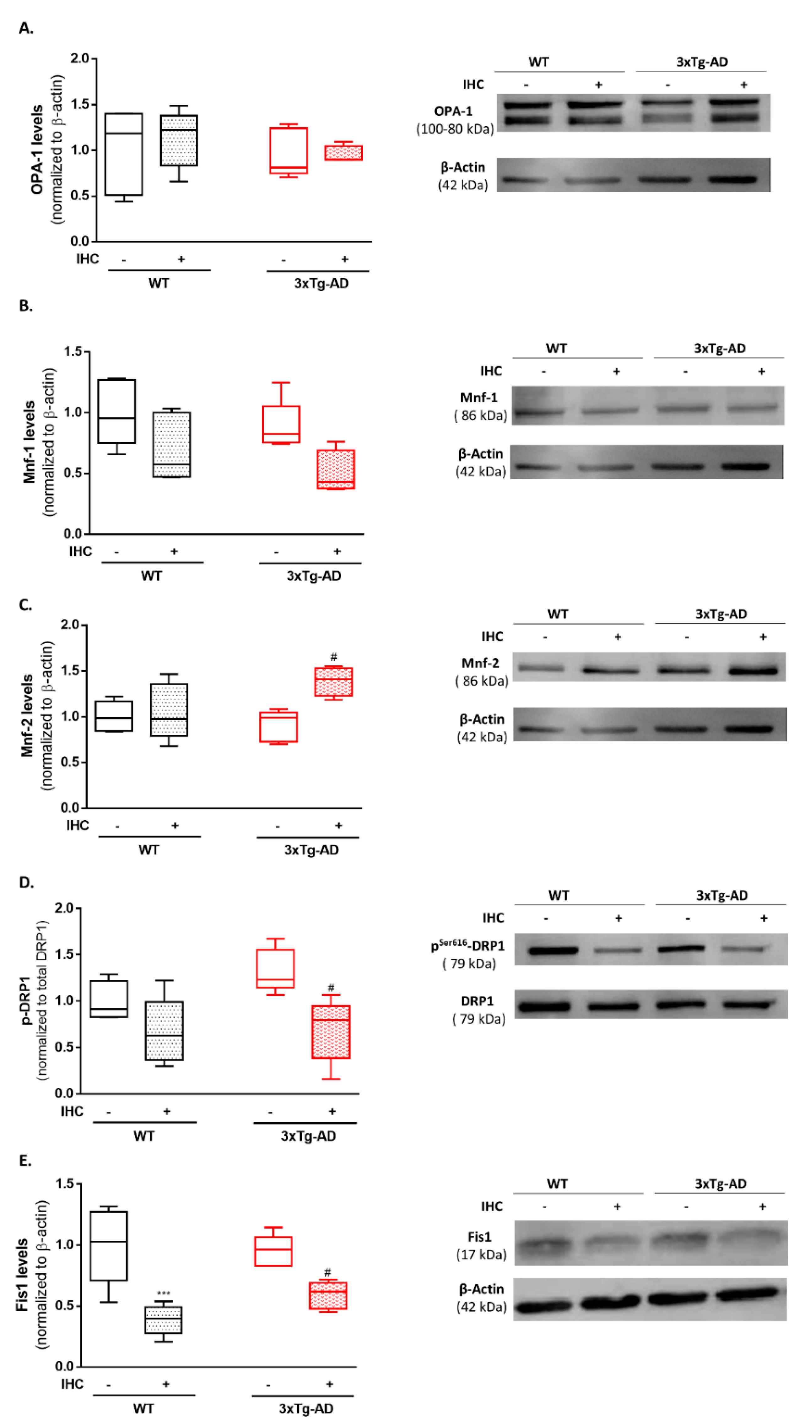 Ijms 22 00461 g005 Ijms 22 00461 g005