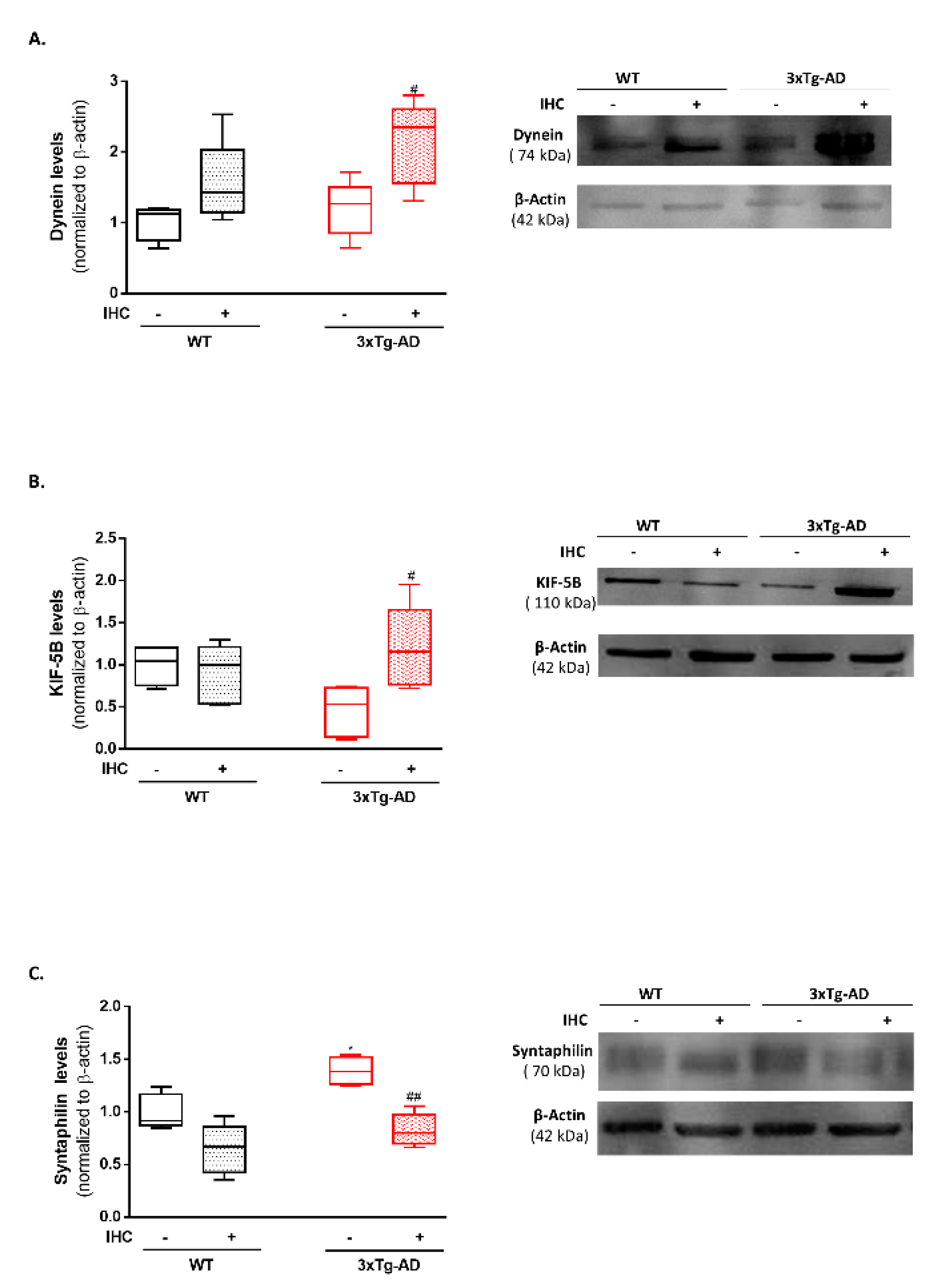 Ijms 22 00461 g008 Ijms 22 00461 g008