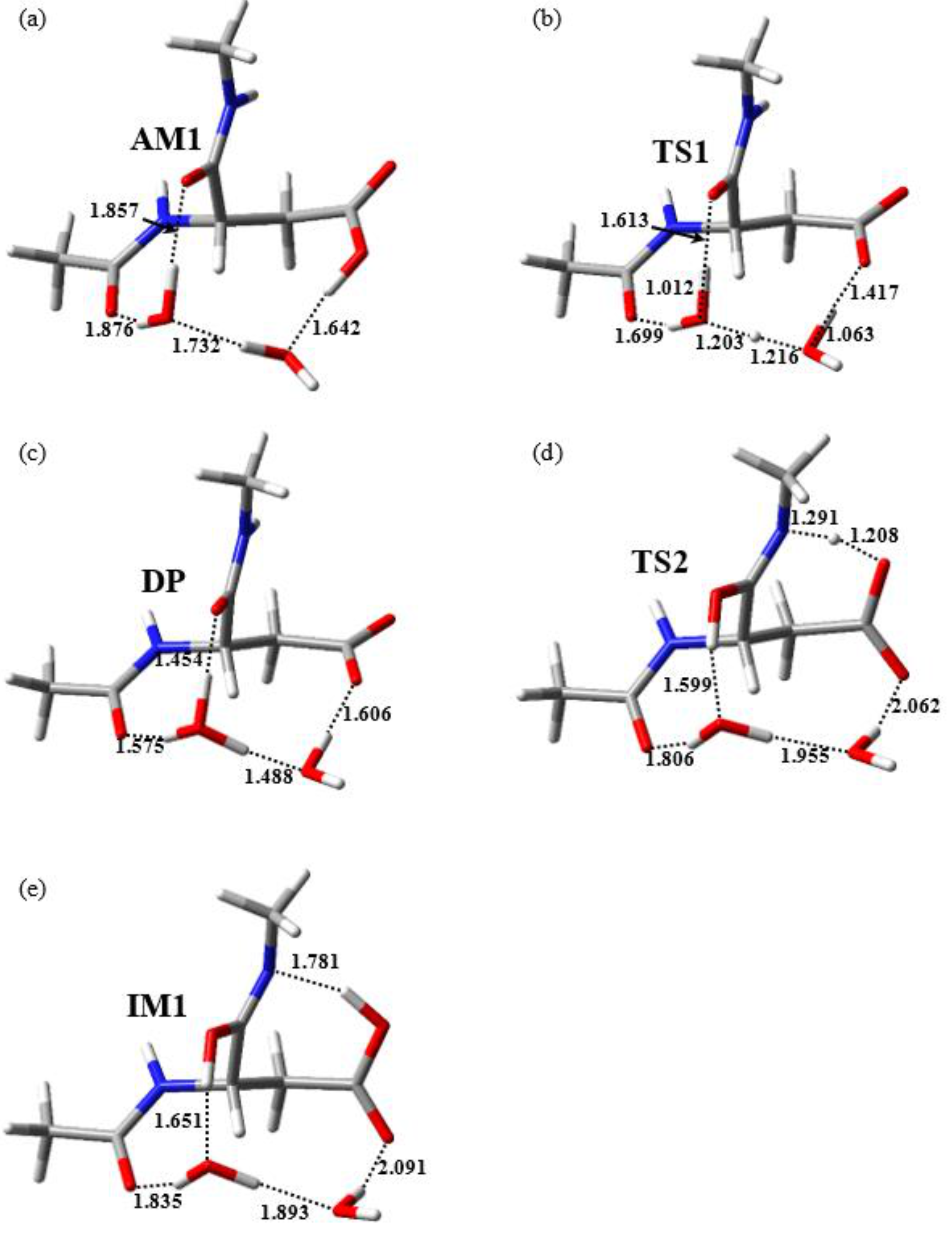 Ijms 22 00509 g003 Ijms 22 00509 g003