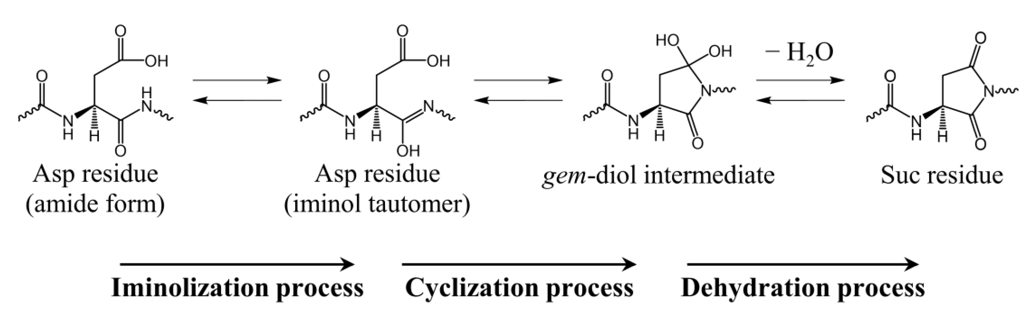 Ijms 22 00509 sch003 Ijms 22 00509 sch003