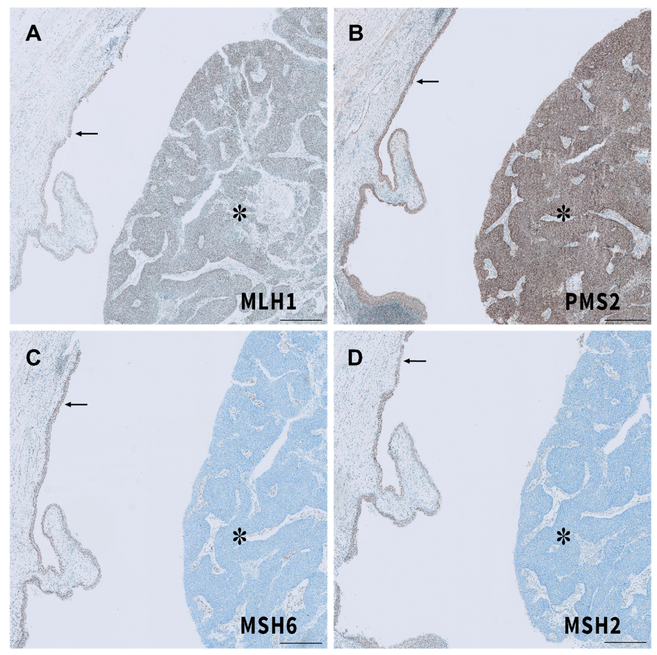 Ijms 22 00531 g006
