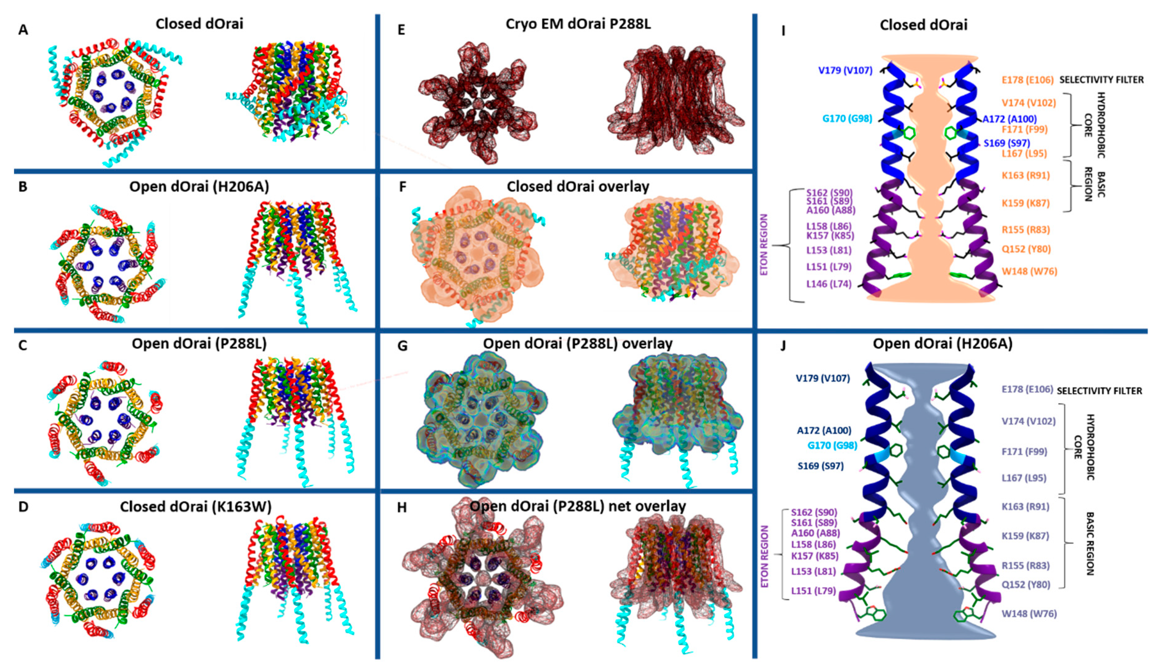 Ijms 22 00533 g002 Ijms 22 00533 g002