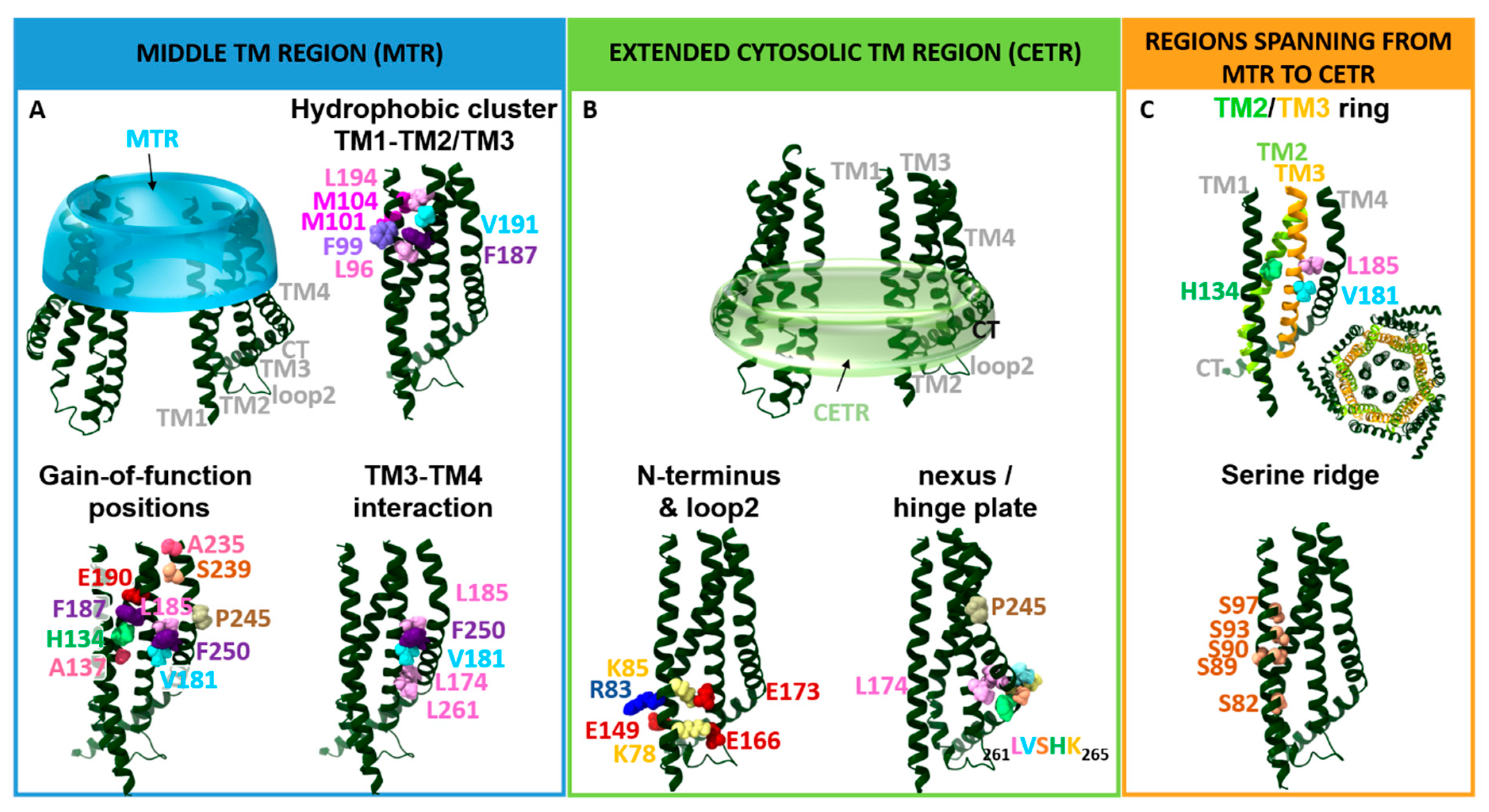 Ijms 22 00533 g004 Ijms 22 00533 g004