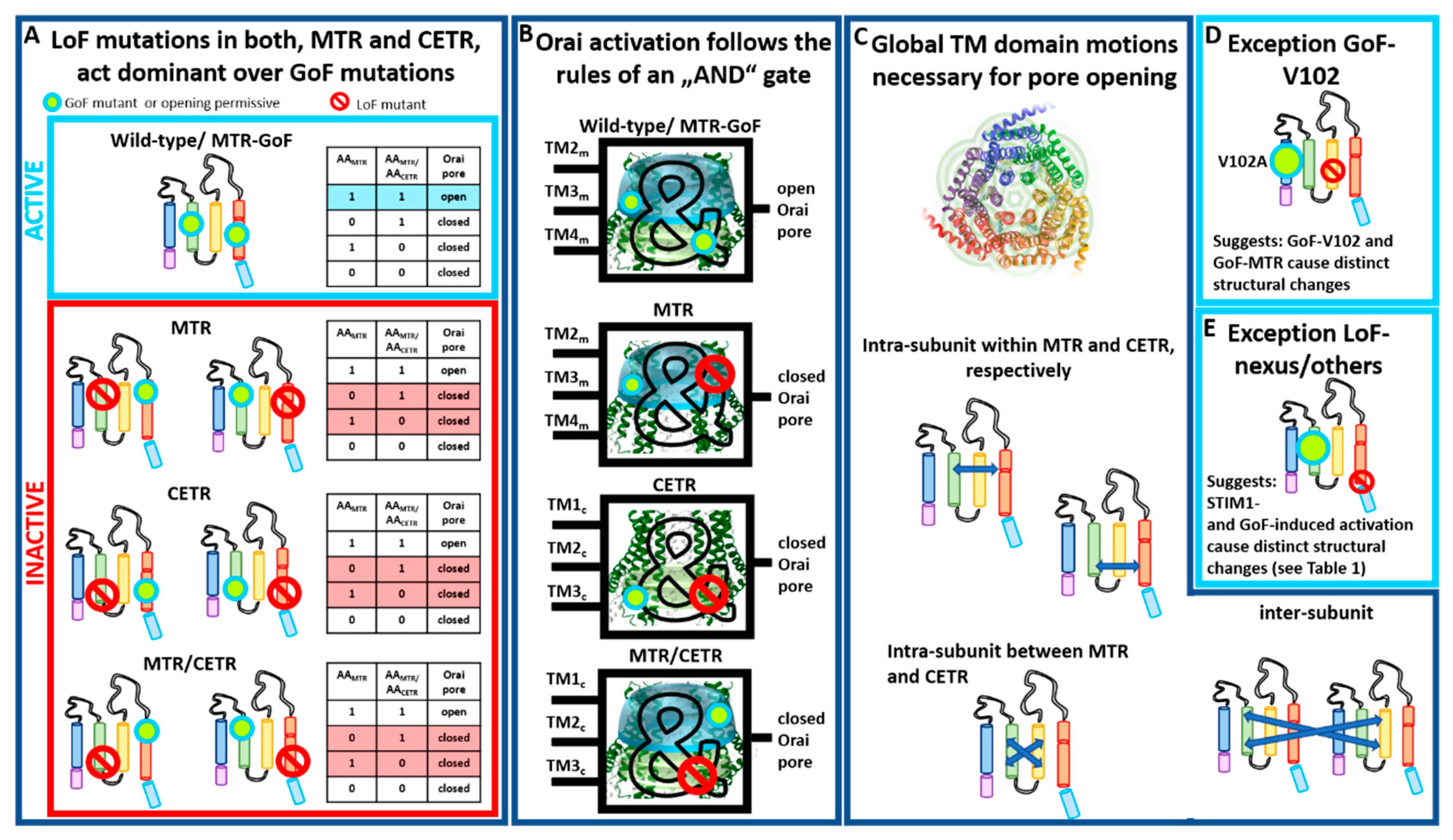 Ijms 22 00533 g005 Ijms 22 00533 g005