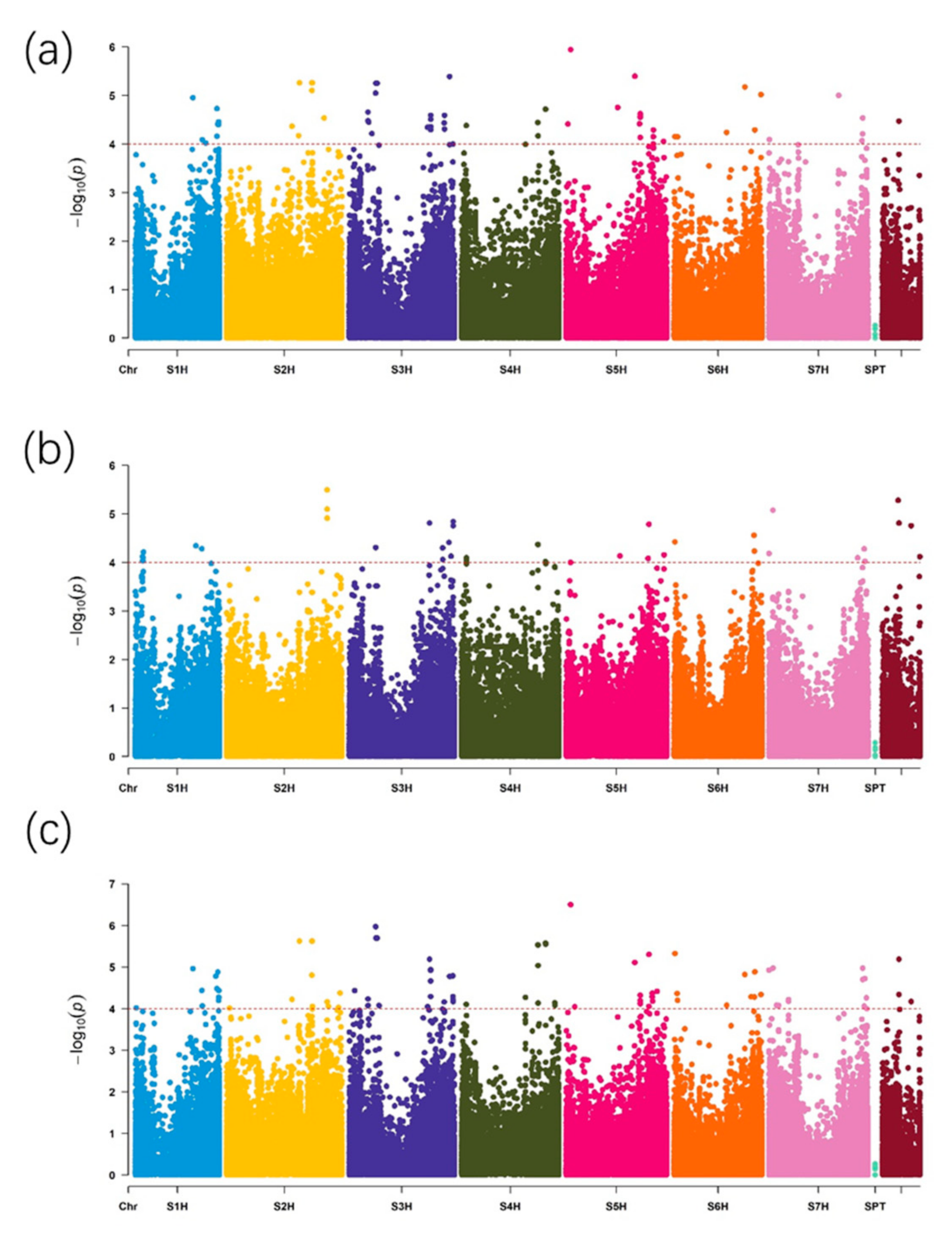 Ijms 22 00553 g002 Ijms 22 00553 g002