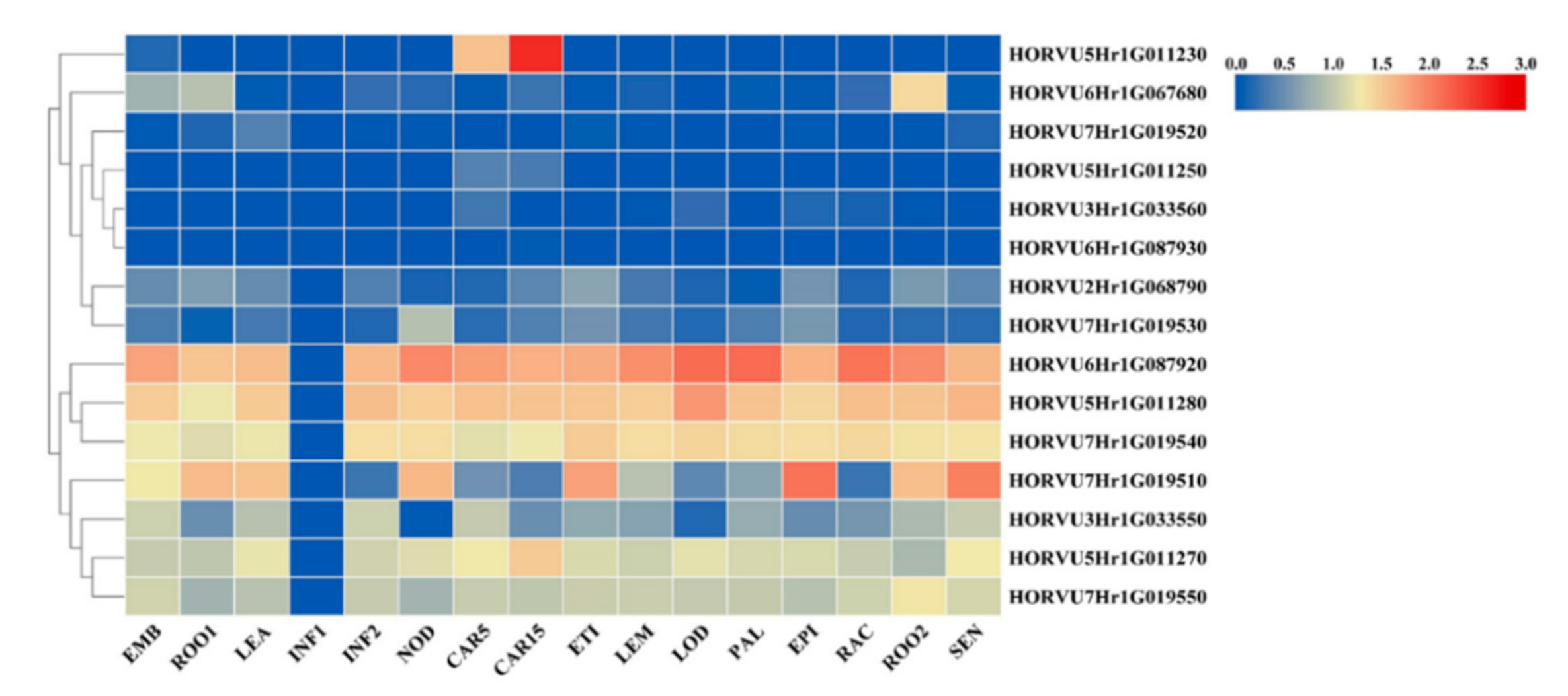 Ijms 22 00553 g003 Ijms 22 00553 g003