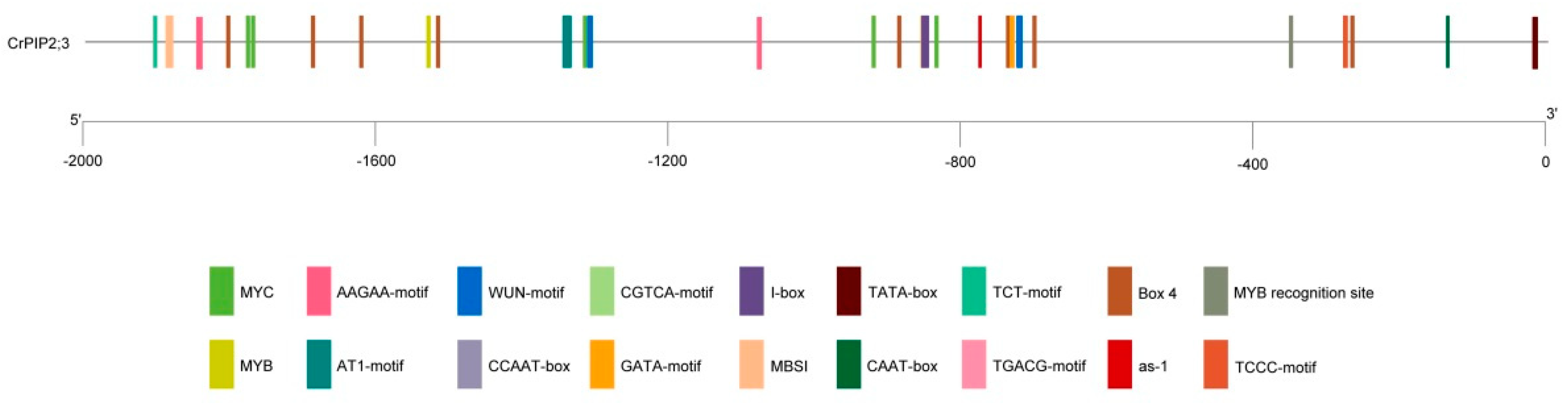 Ijms 22 00565 g002 Ijms 22 00565 g002
