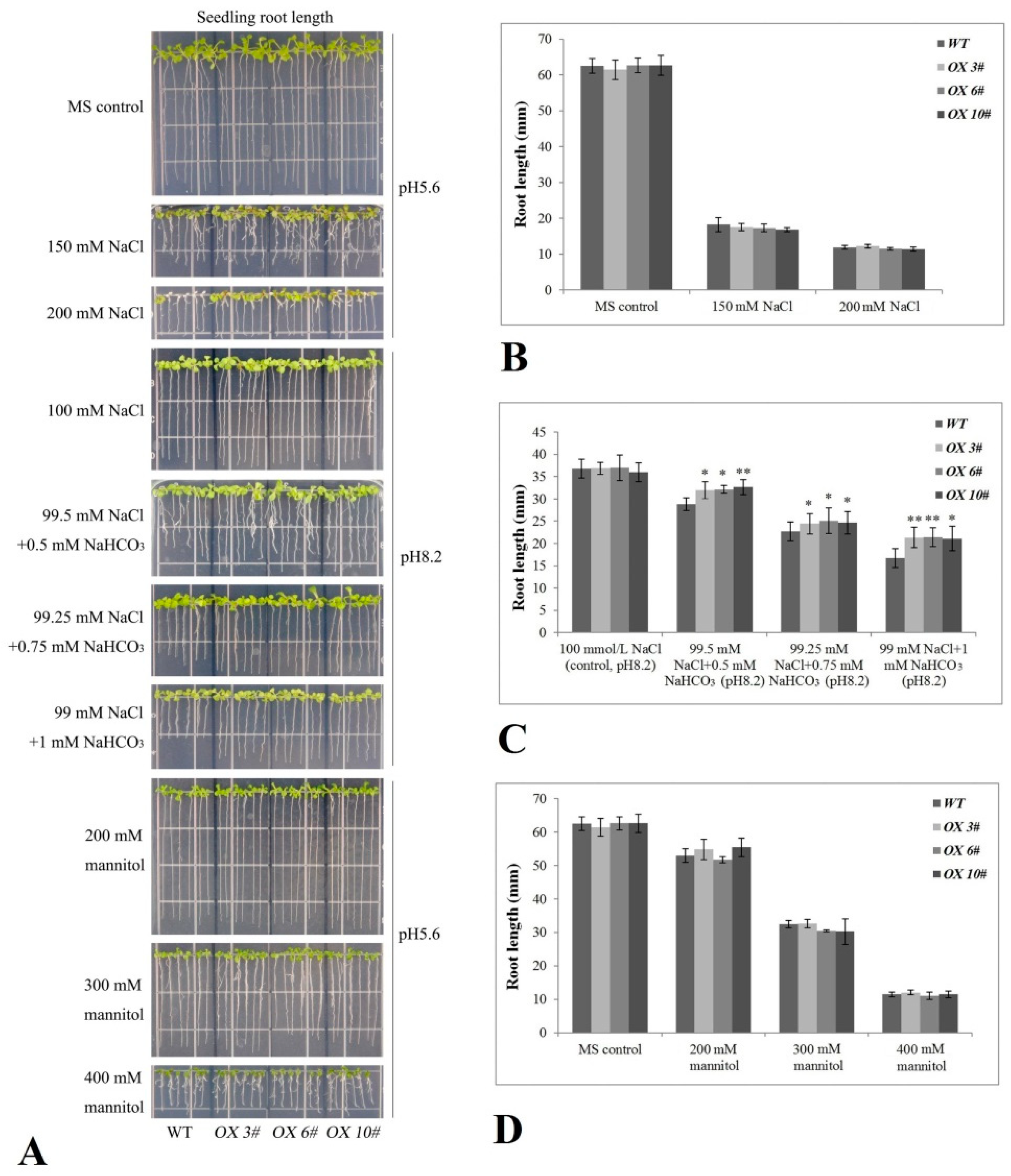 Ijms 22 00565 g006 Ijms 22 00565 g006