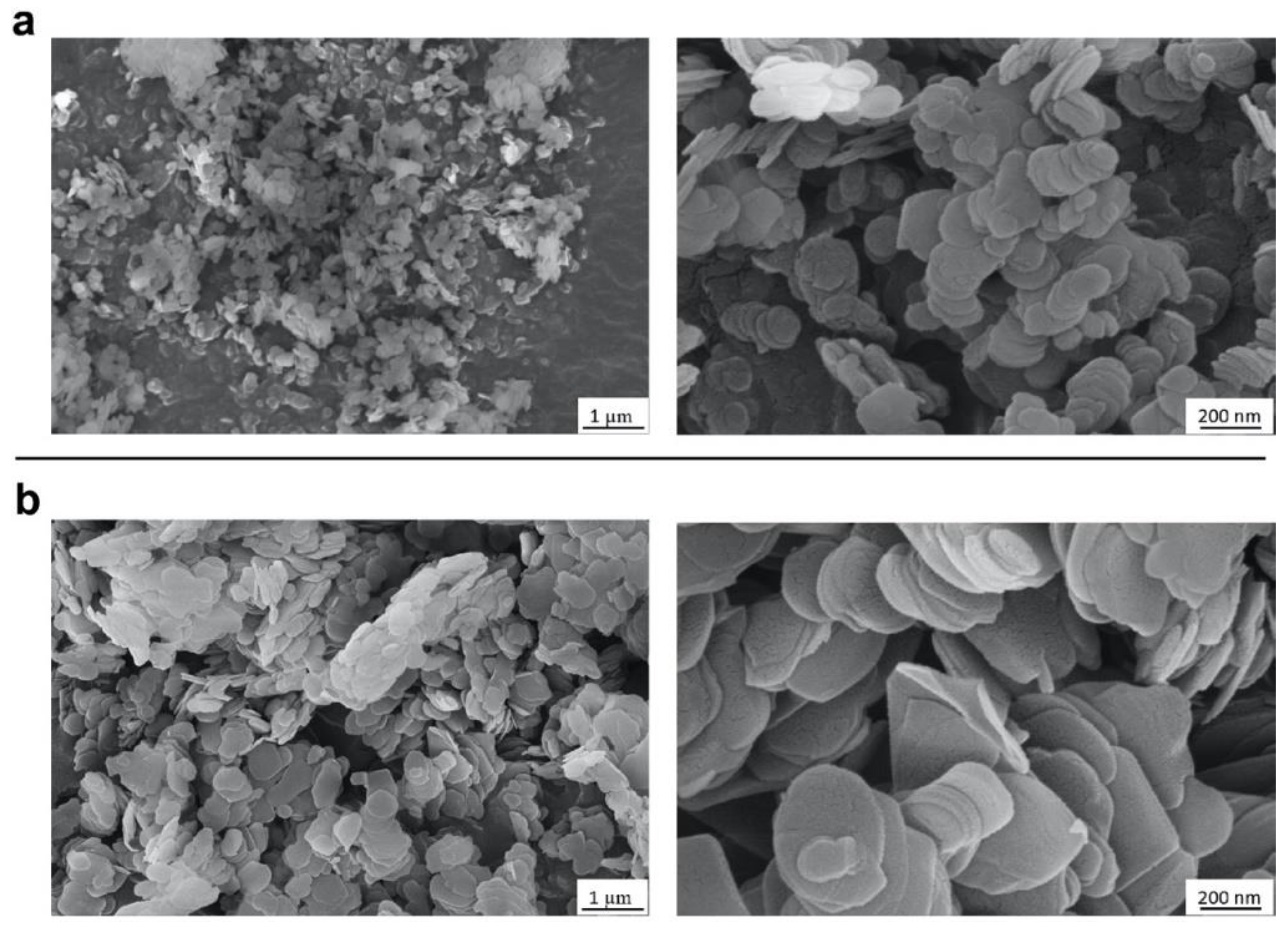 Ijms 22 00567 g002 Ijms 22 00567 g002