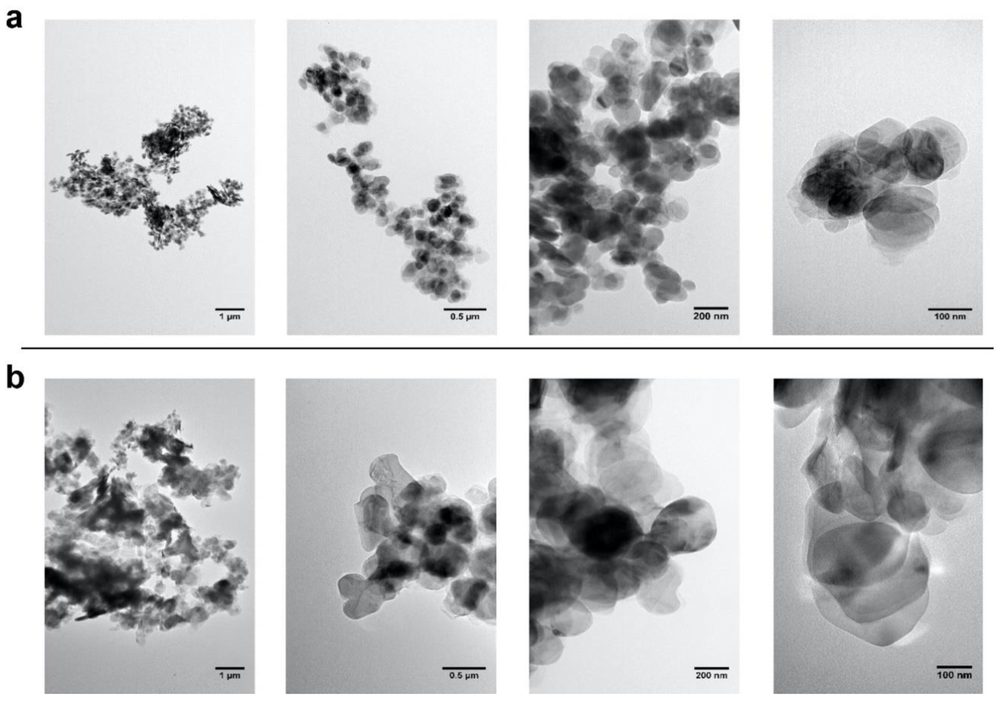 Ijms 22 00567 g003 Ijms 22 00567 g003