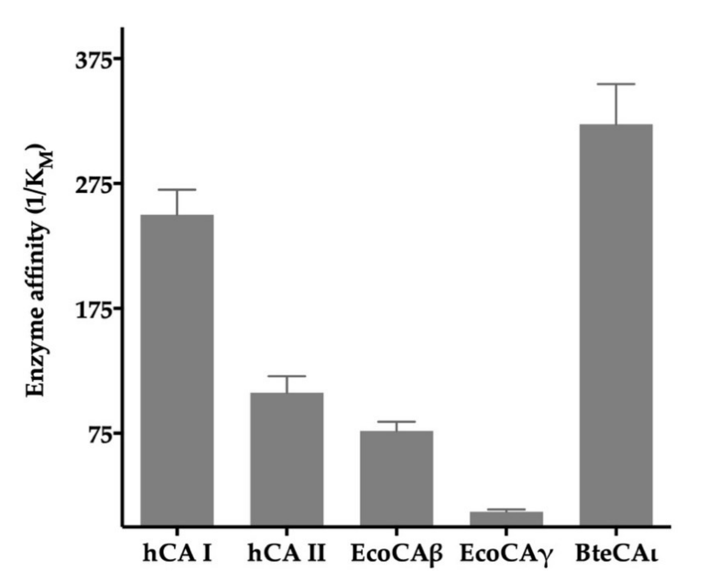 Ijms 22 00571 g002 Ijms 22 00571 g002