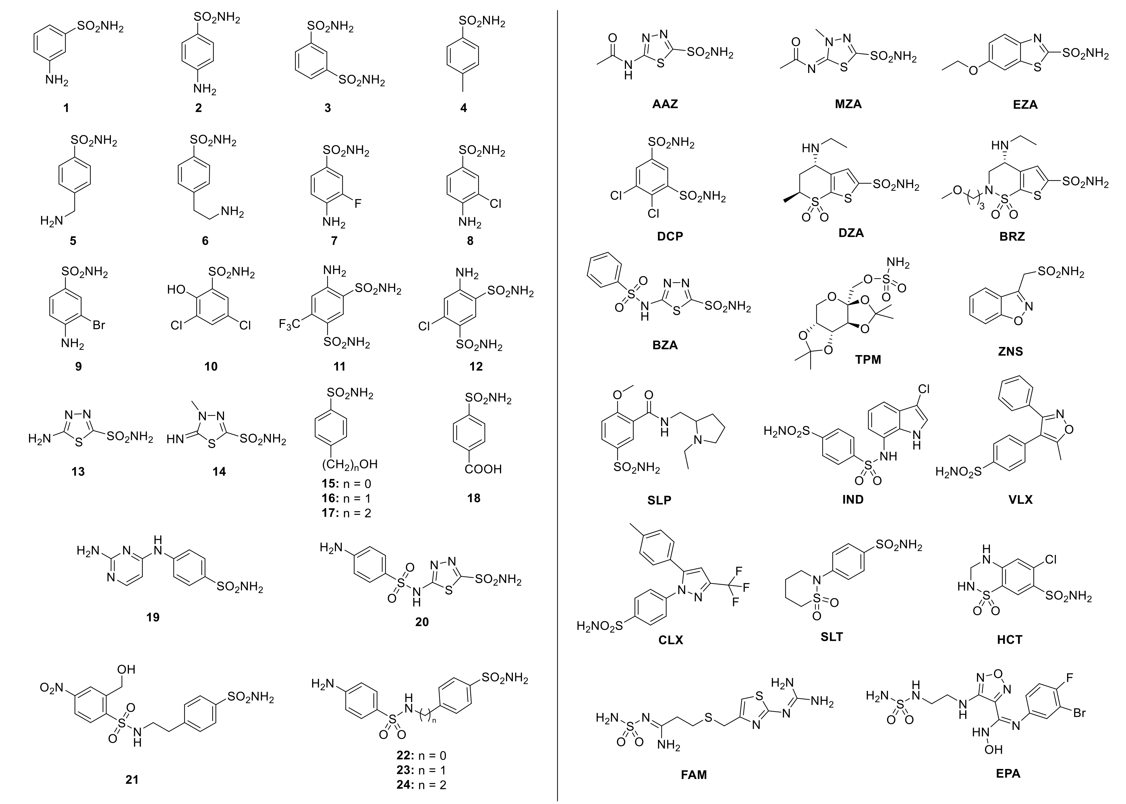 Ijms 22 00571 g003 Ijms 22 00571 g003