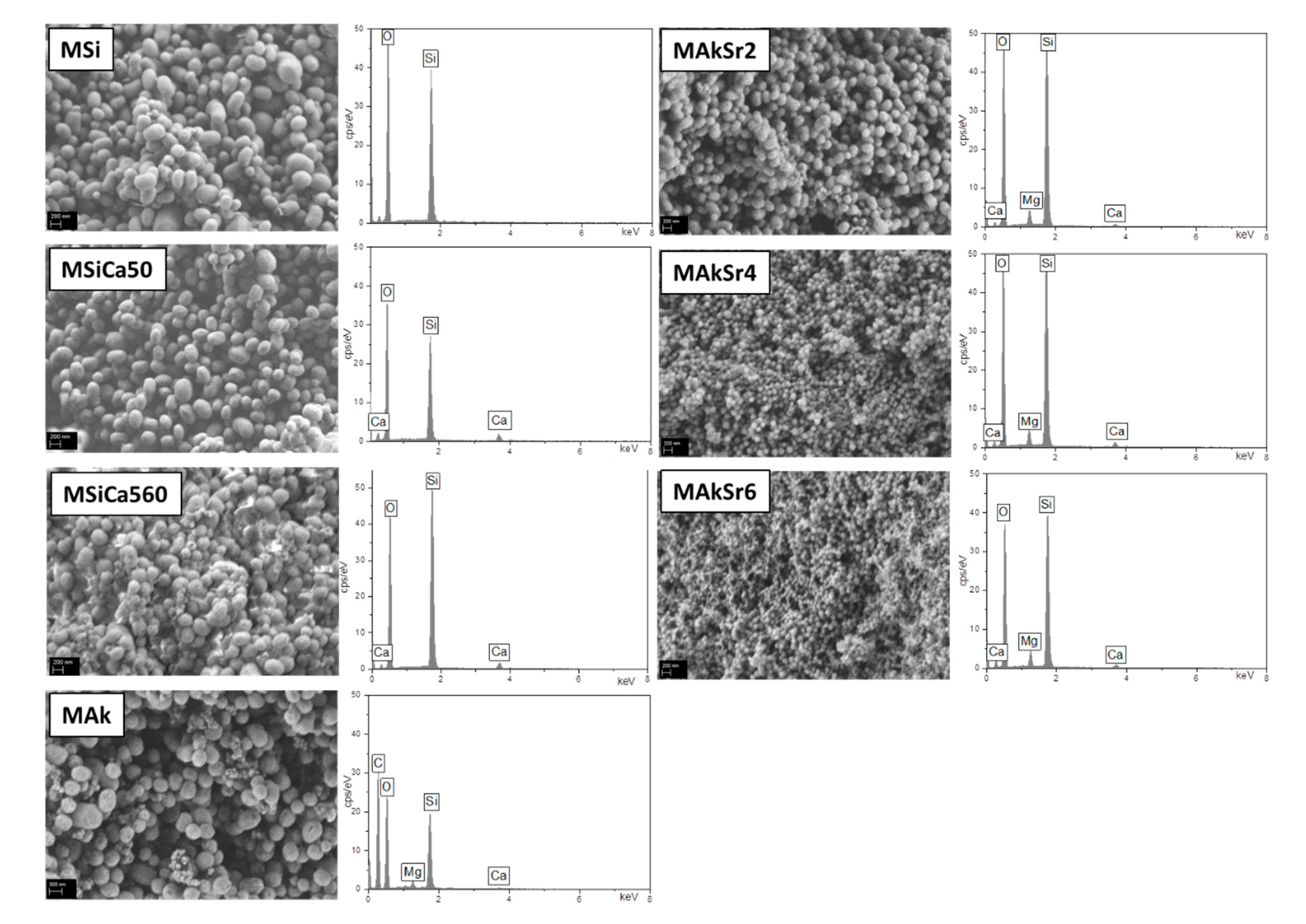 Ijms 22 00577 g005 Ijms 22 00577 g005