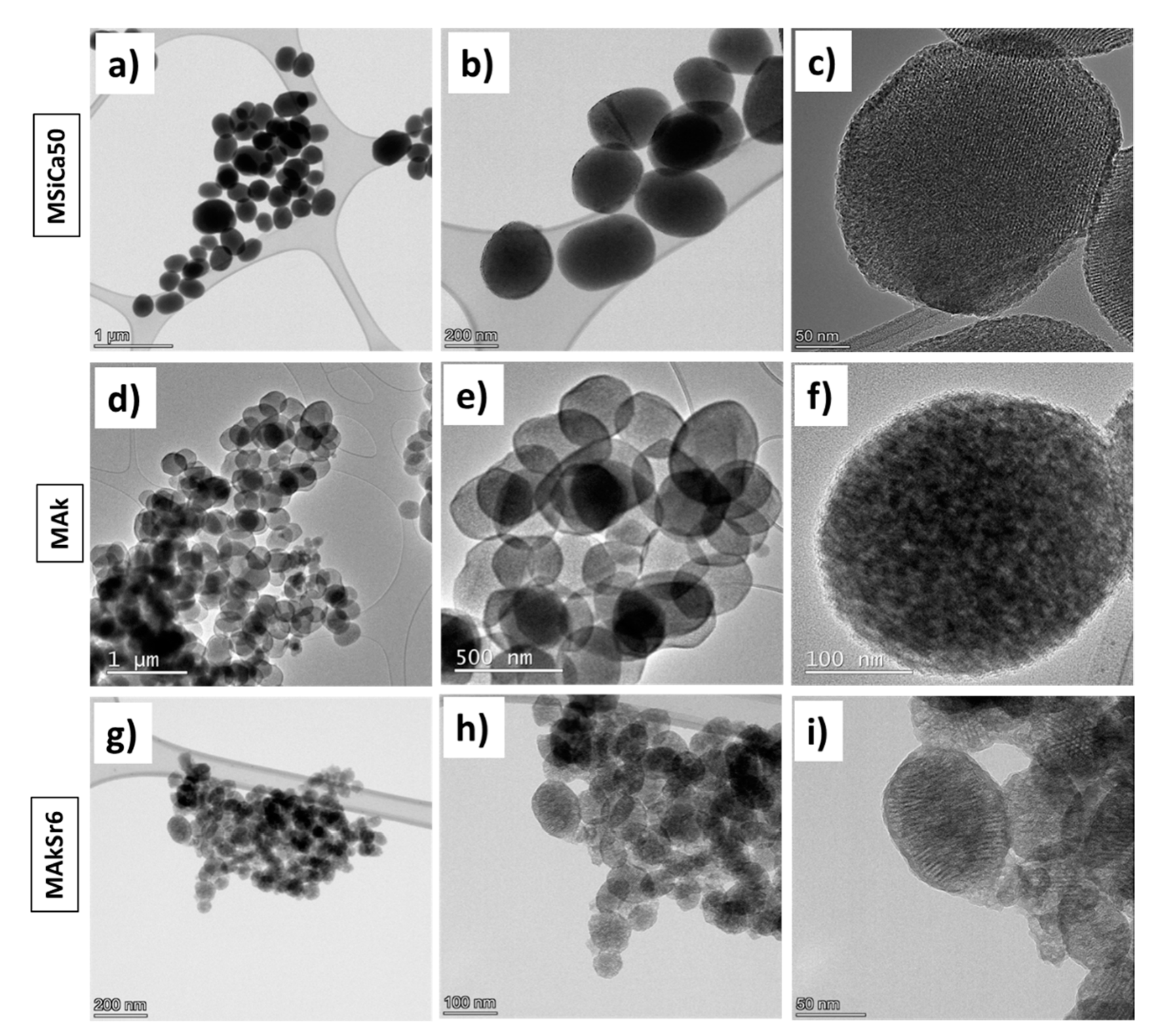 Ijms 22 00577 g006 Ijms 22 00577 g006