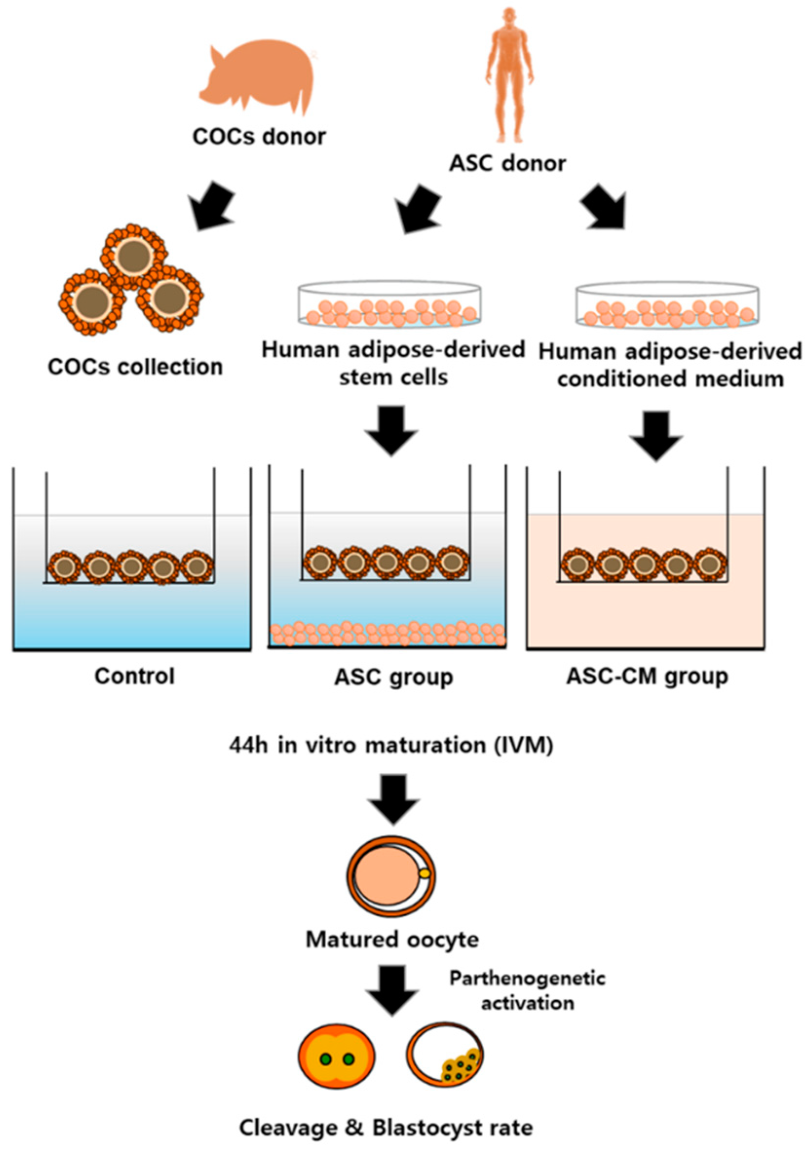Ijms 22 00579 g001 Ijms 22 00579 g001