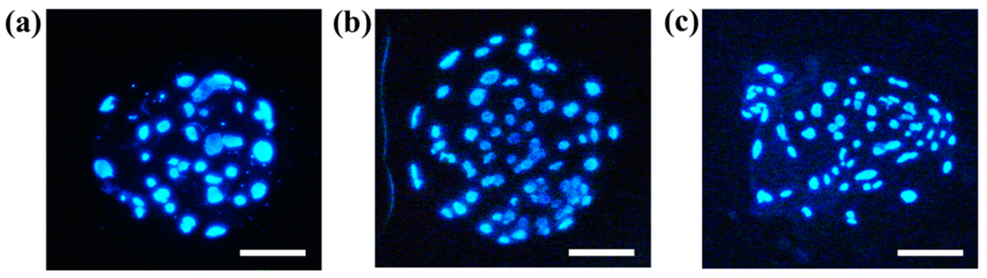 Ijms 22 00579 g006 Ijms 22 00579 g006