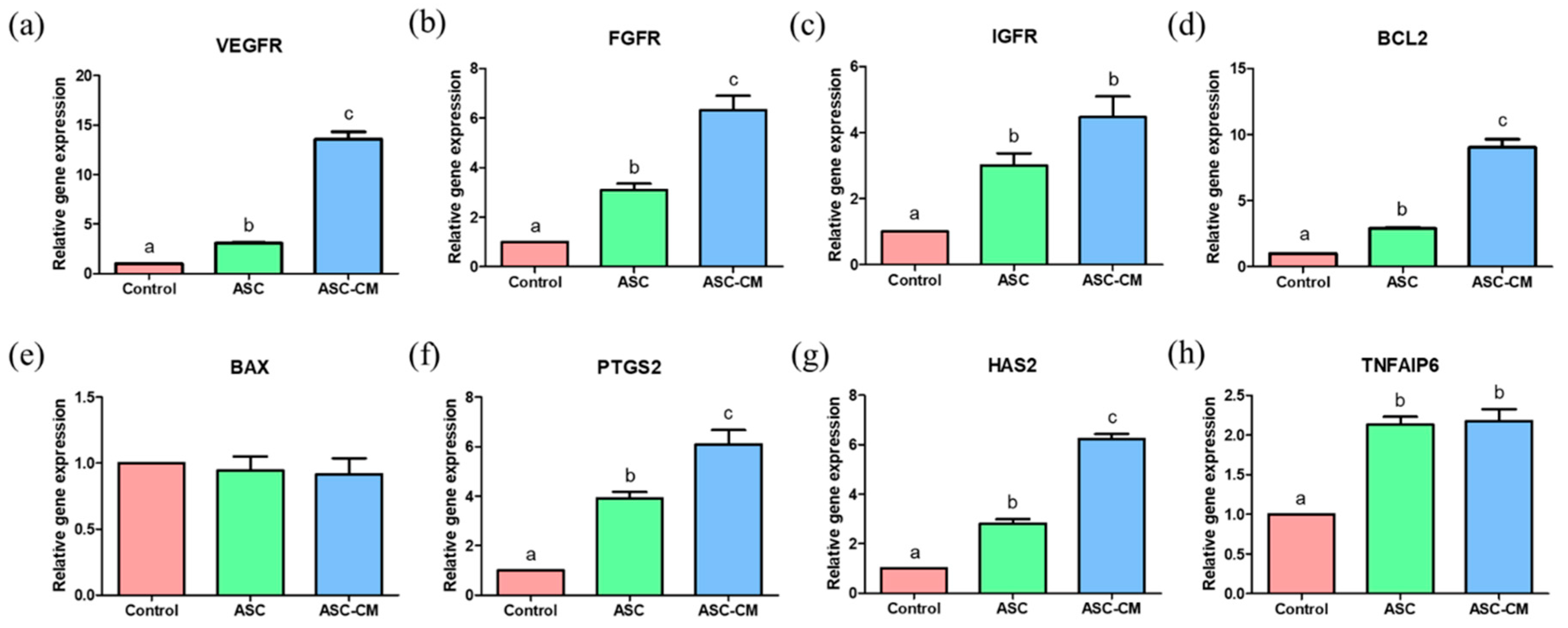 Ijms 22 00579 g007 Ijms 22 00579 g007