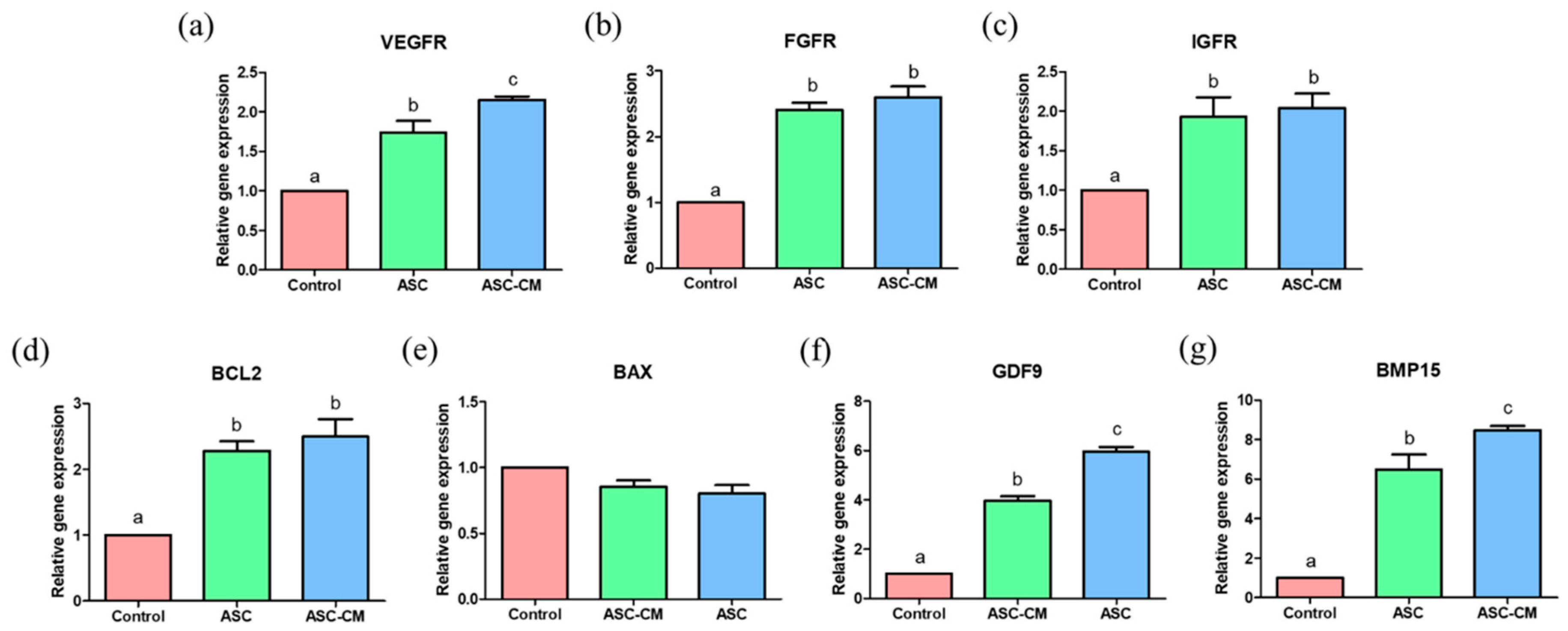 Ijms 22 00579 g008 Ijms 22 00579 g008