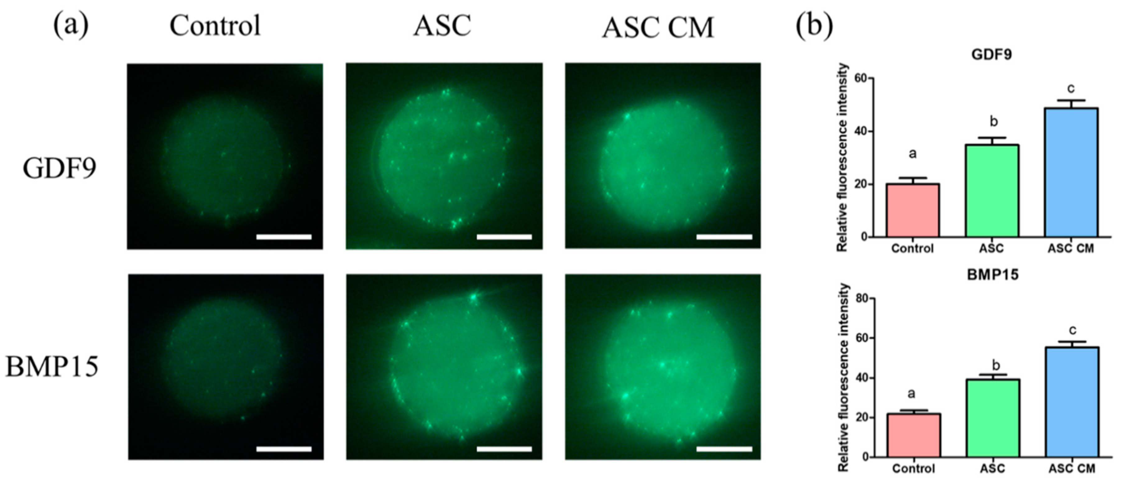 Ijms 22 00579 g009 Ijms 22 00579 g009