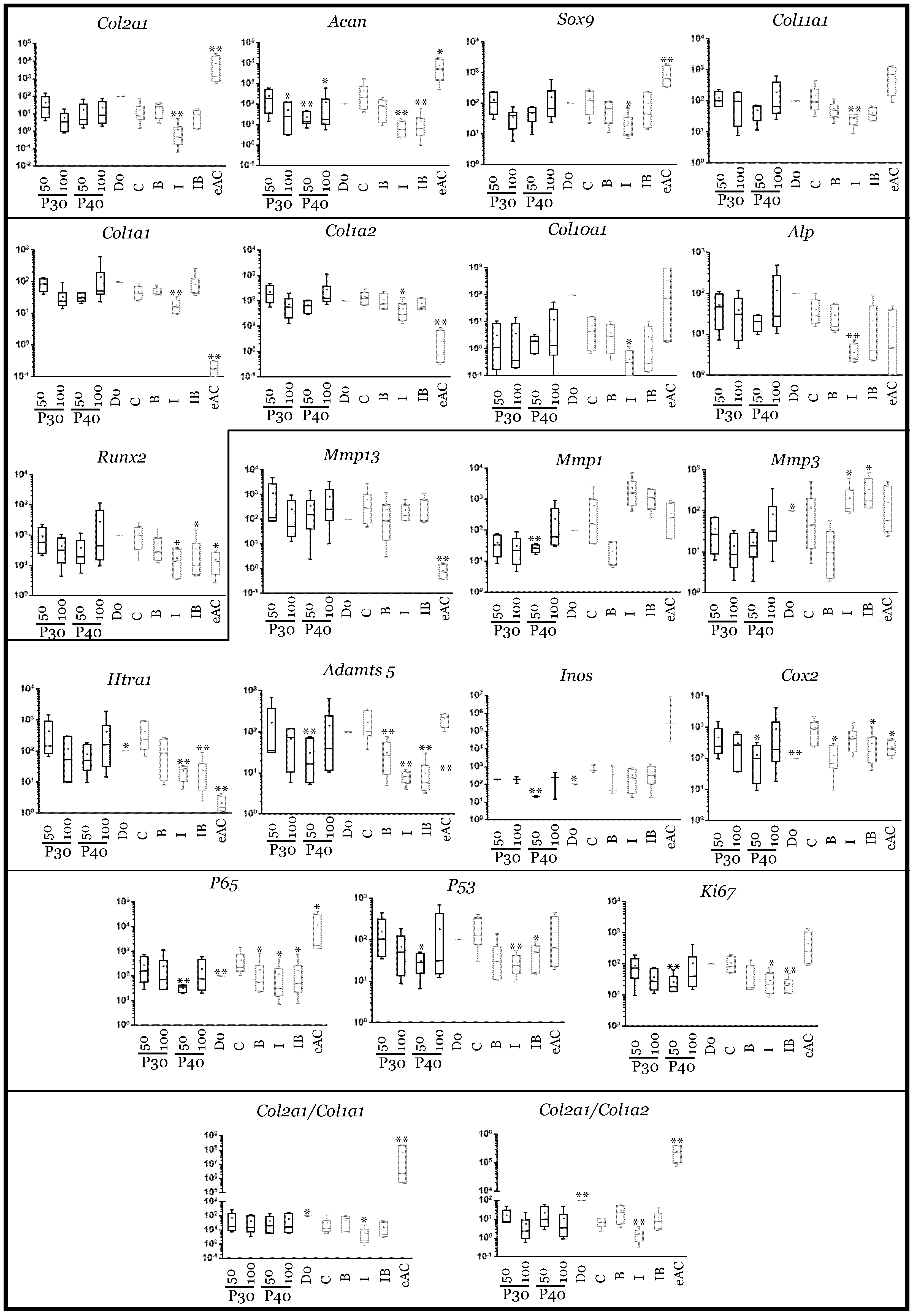 Ijms 22 00580 g008 Ijms 22 00580 g008