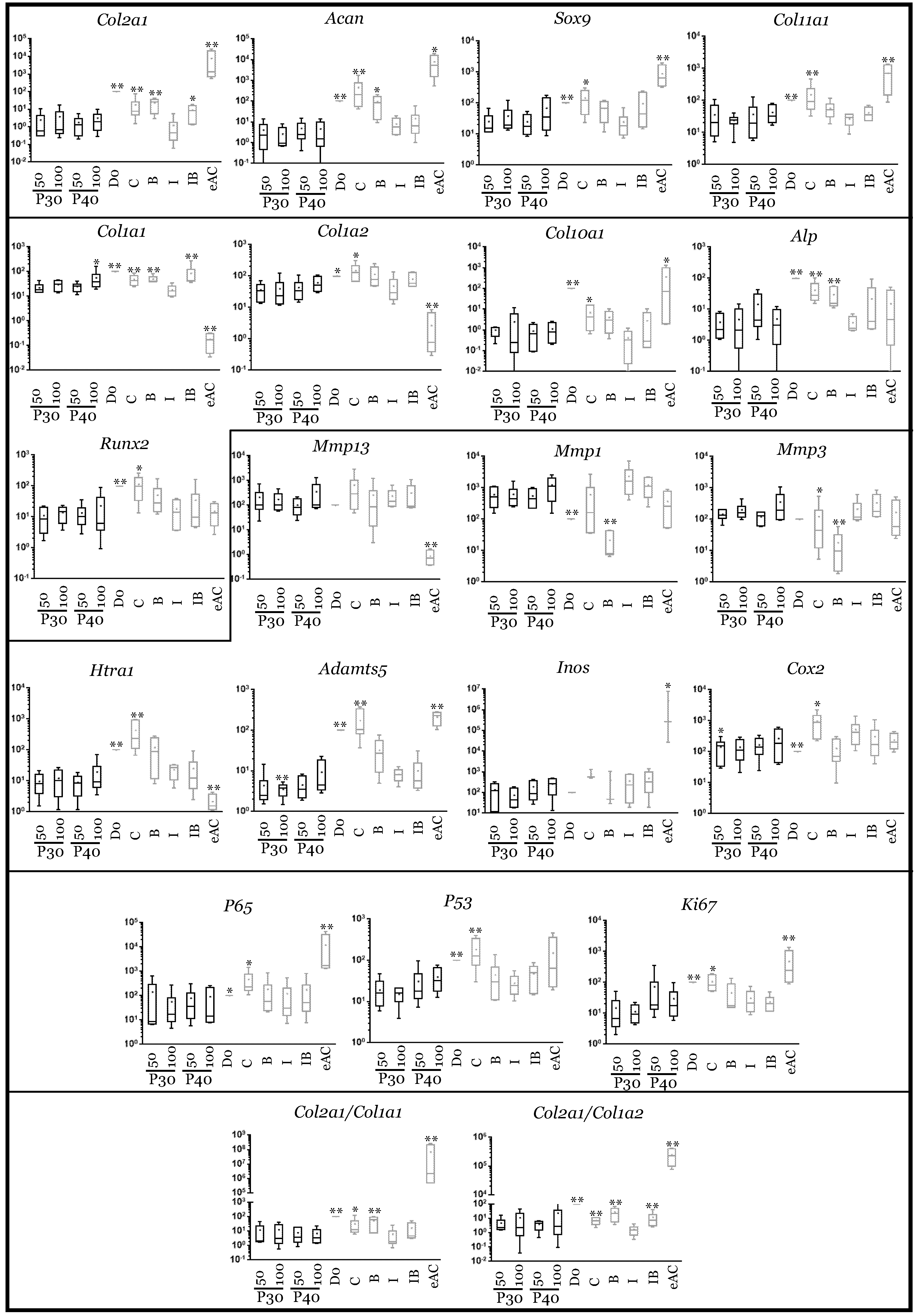 Ijms 22 00580 g010 Ijms 22 00580 g010