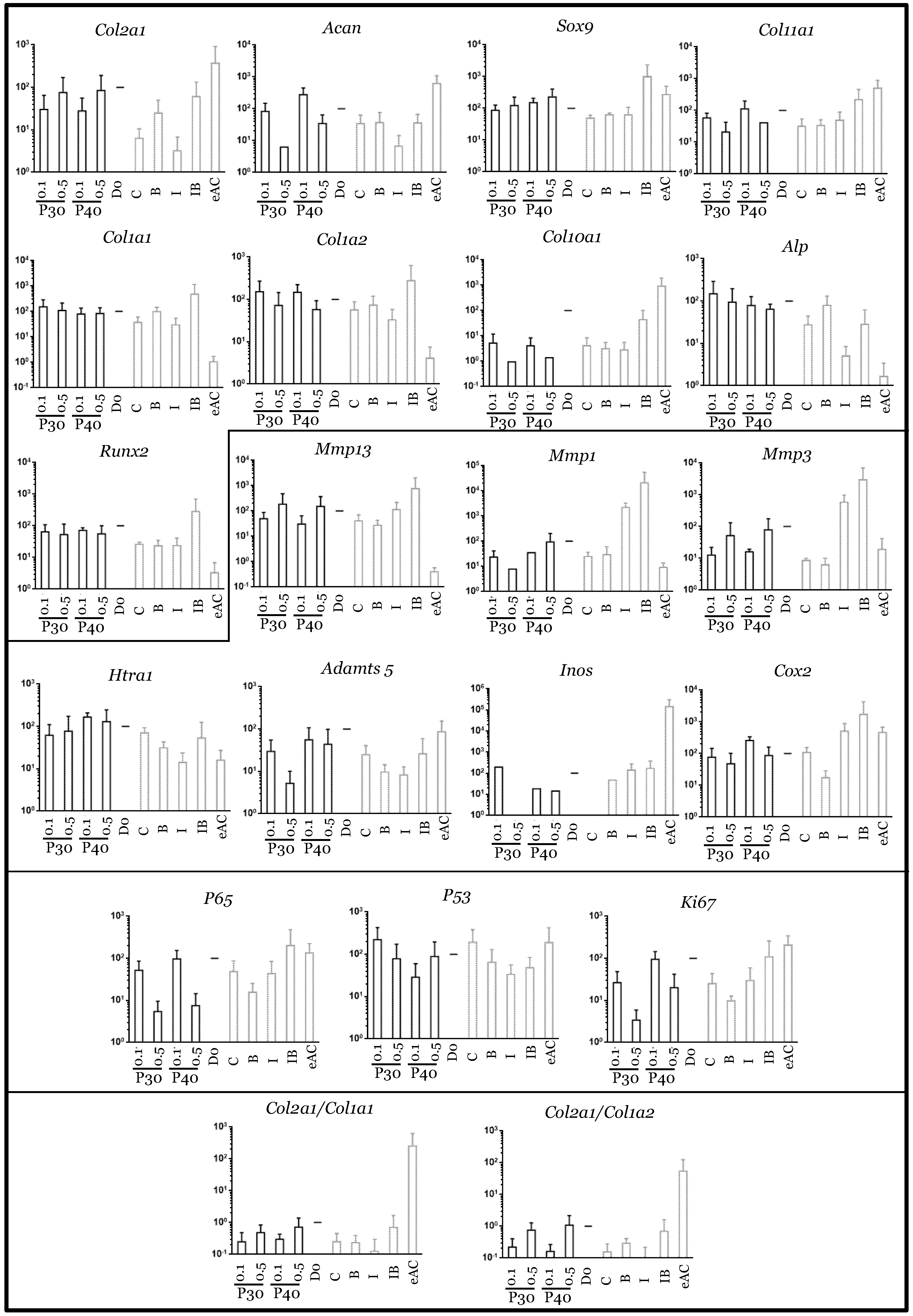 Ijms 22 00580 g011 Ijms 22 00580 g011
