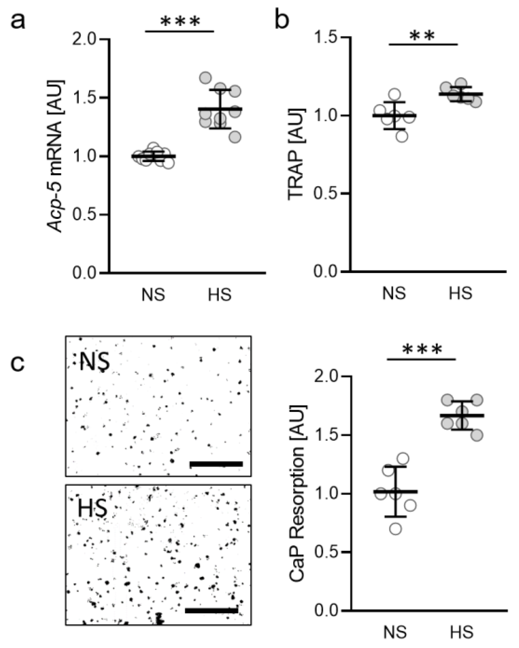 Ijms 22 00596 g001 Ijms 22 00596 g001