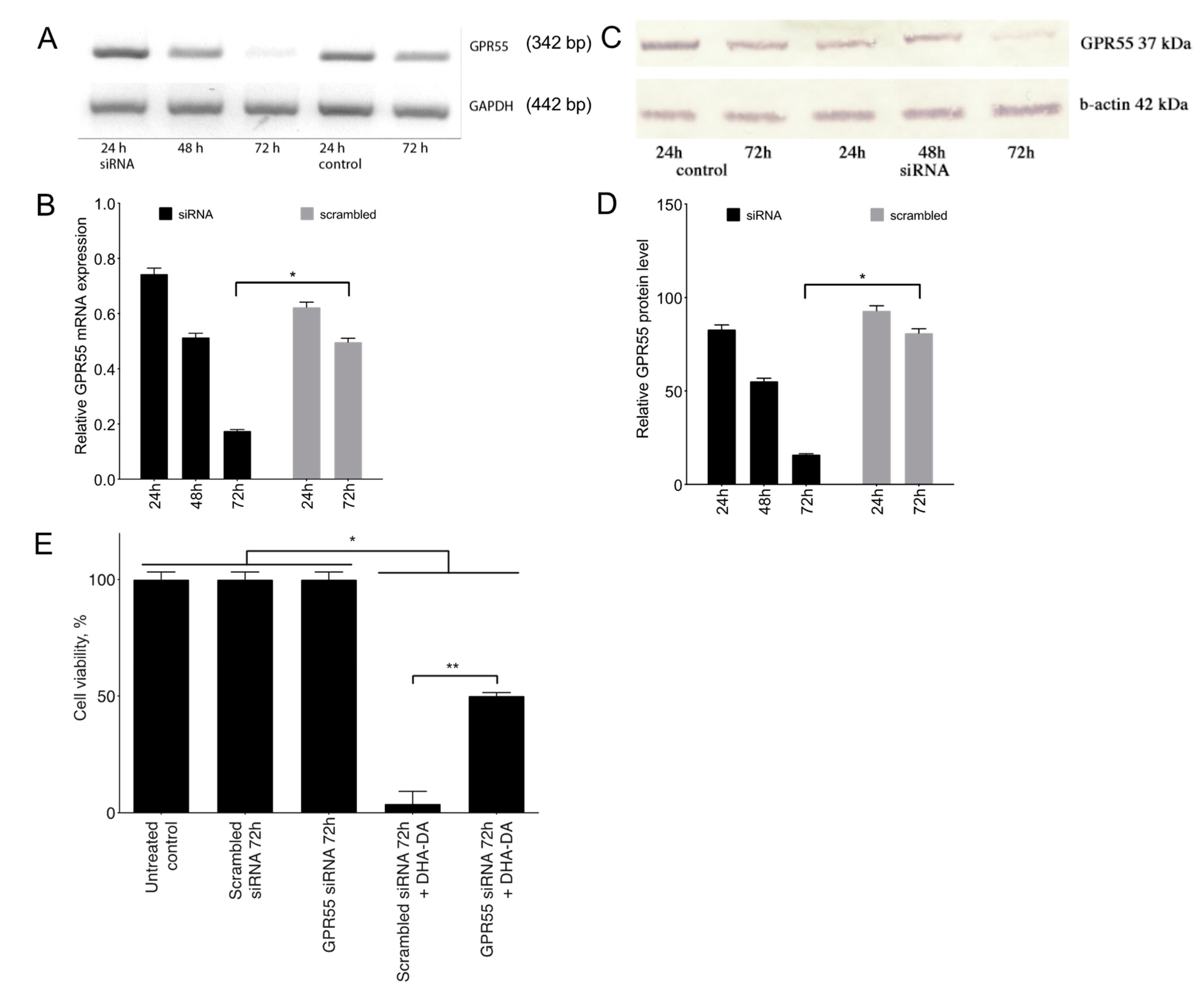 Ijms 22 00622 g004 Ijms 22 00622 g004