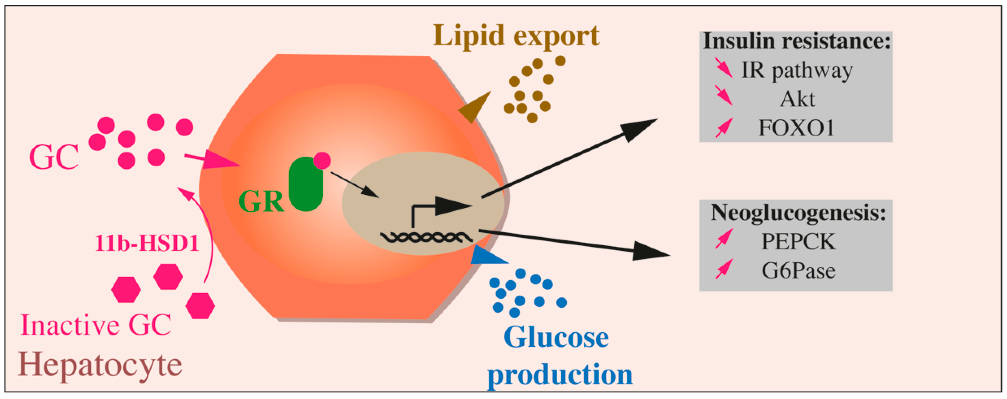 Ijms 22 00623 g003 Ijms 22 00623 g003