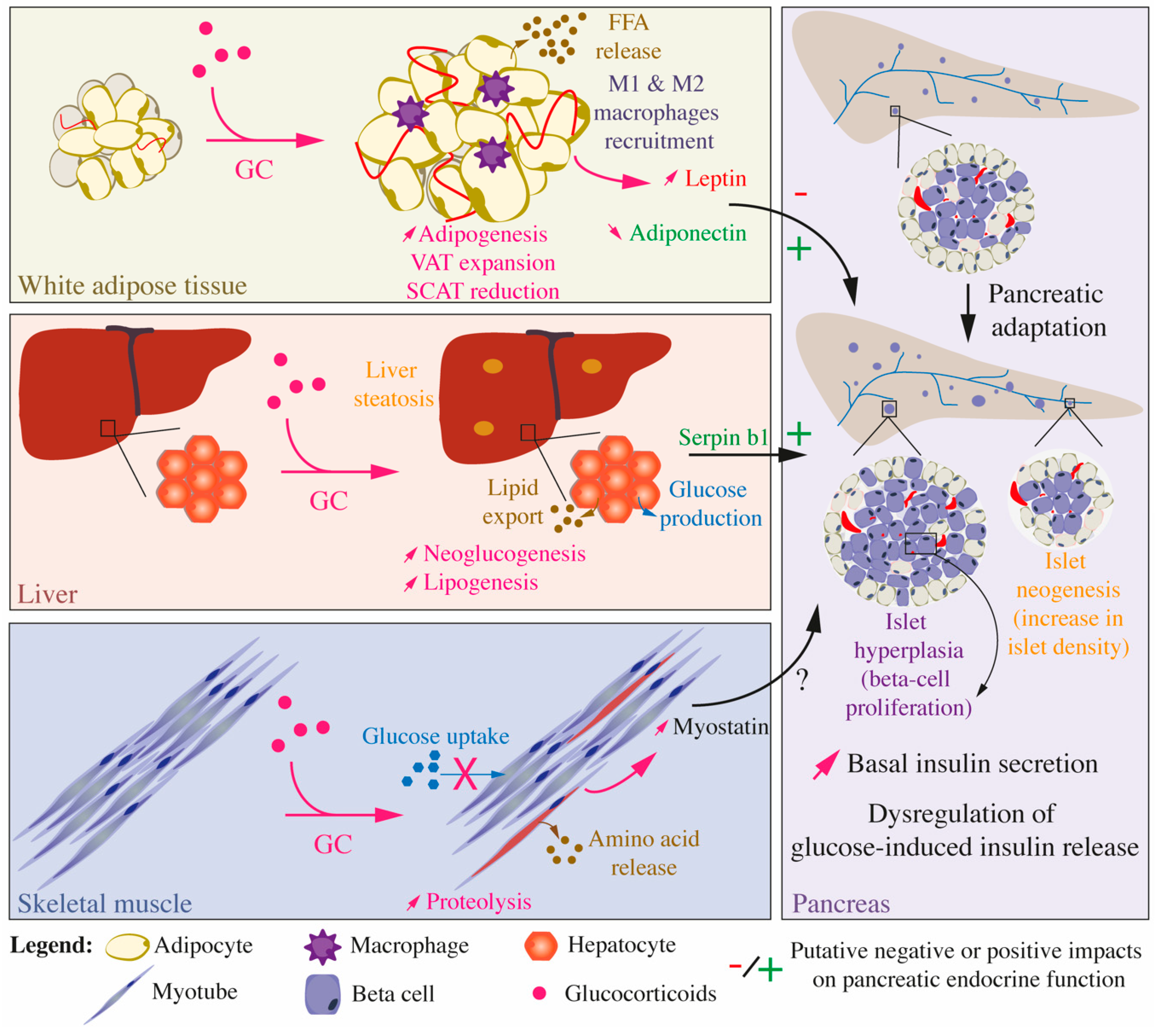 Ijms 22 00623 g005 Ijms 22 00623 g005