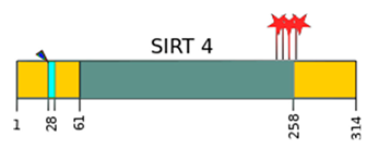 Ijms 22 00630 i004 Ijms 22 00630 i004