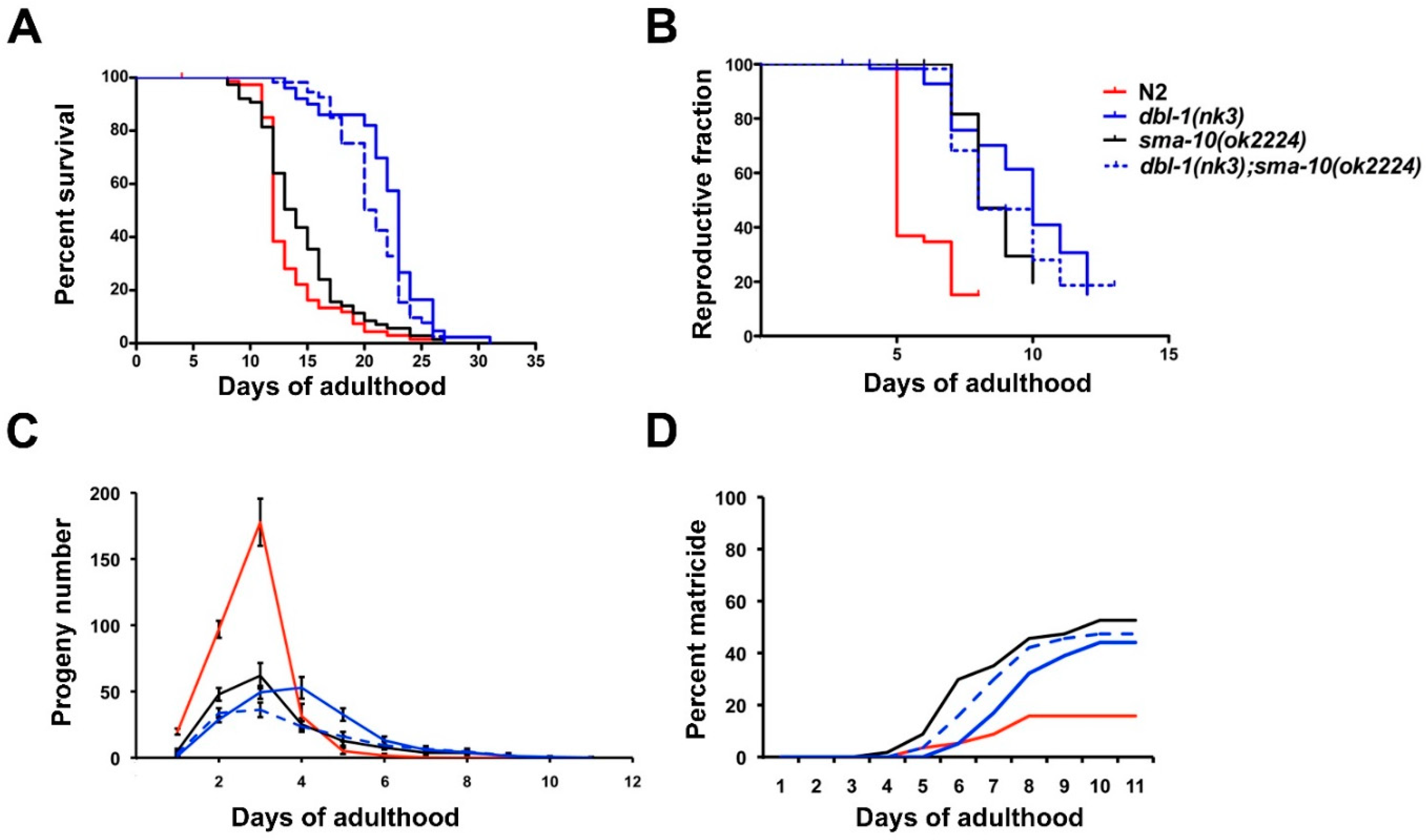 Ijms 22 00638 g003 Ijms 22 00638 g003