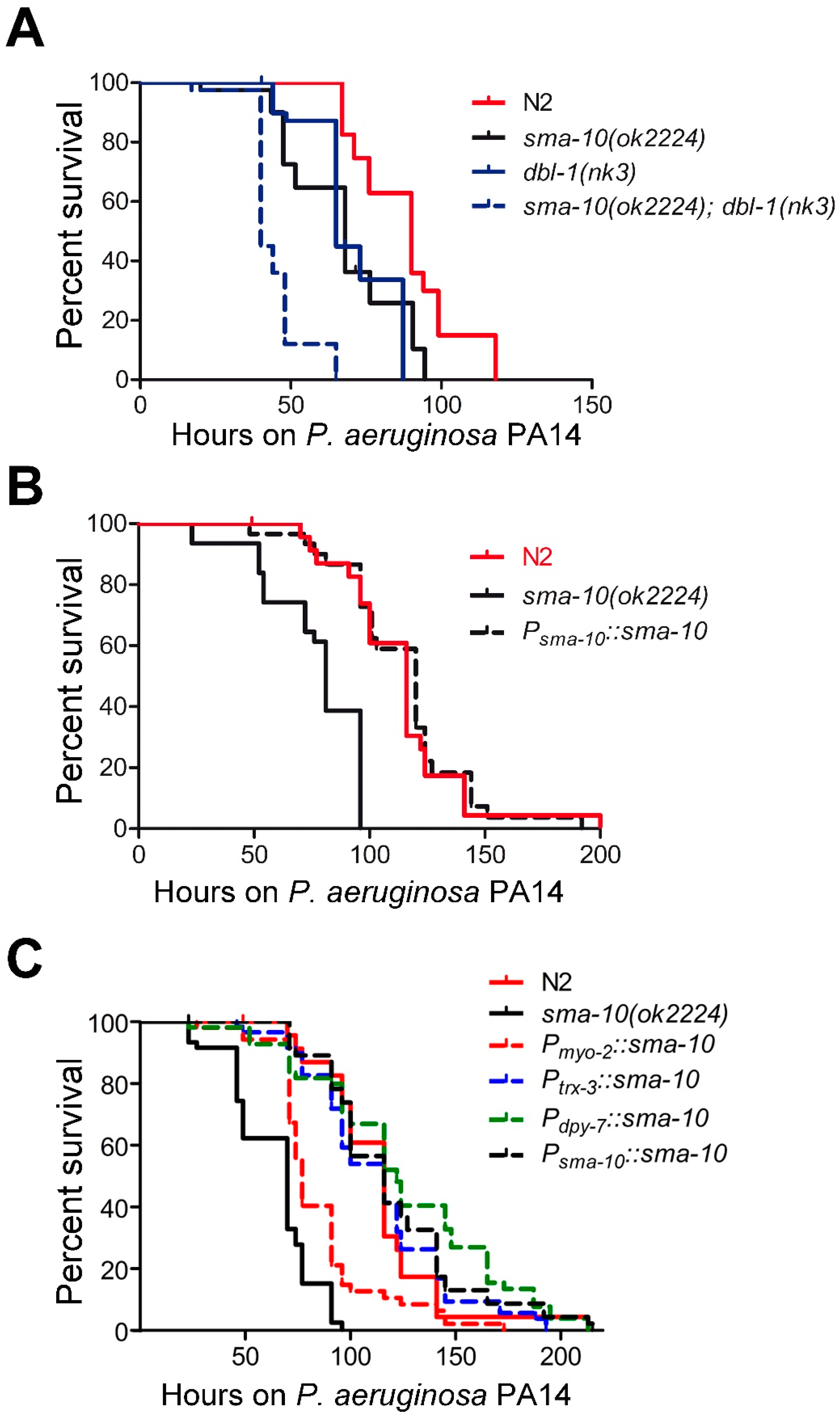 Ijms 22 00638 g004 Ijms 22 00638 g004