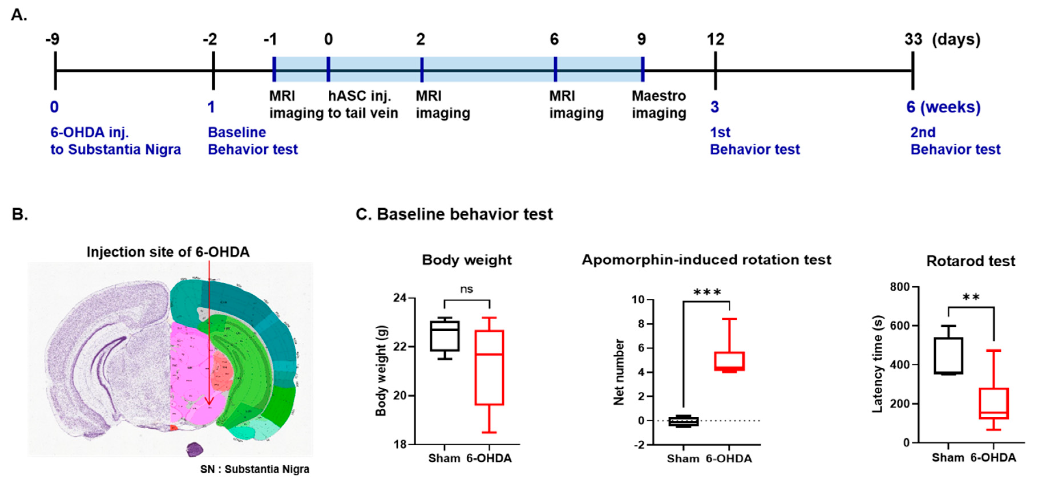 Ijms 22 00654 g001 Ijms 22 00654 g001