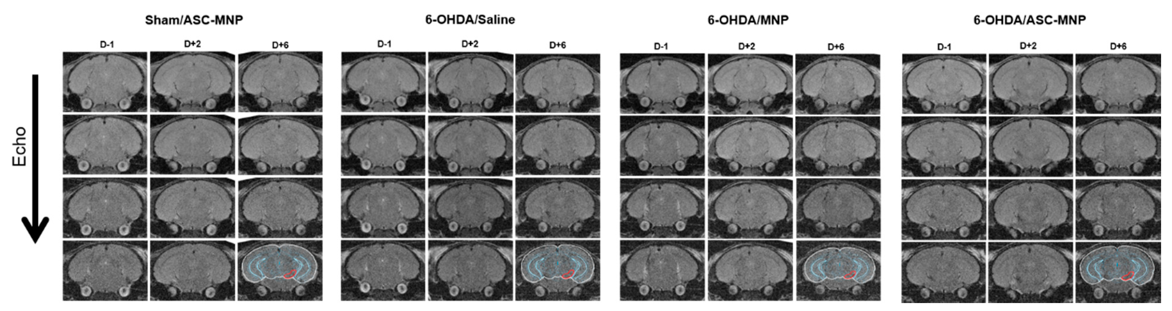 Ijms 22 00654 g002 Ijms 22 00654 g002