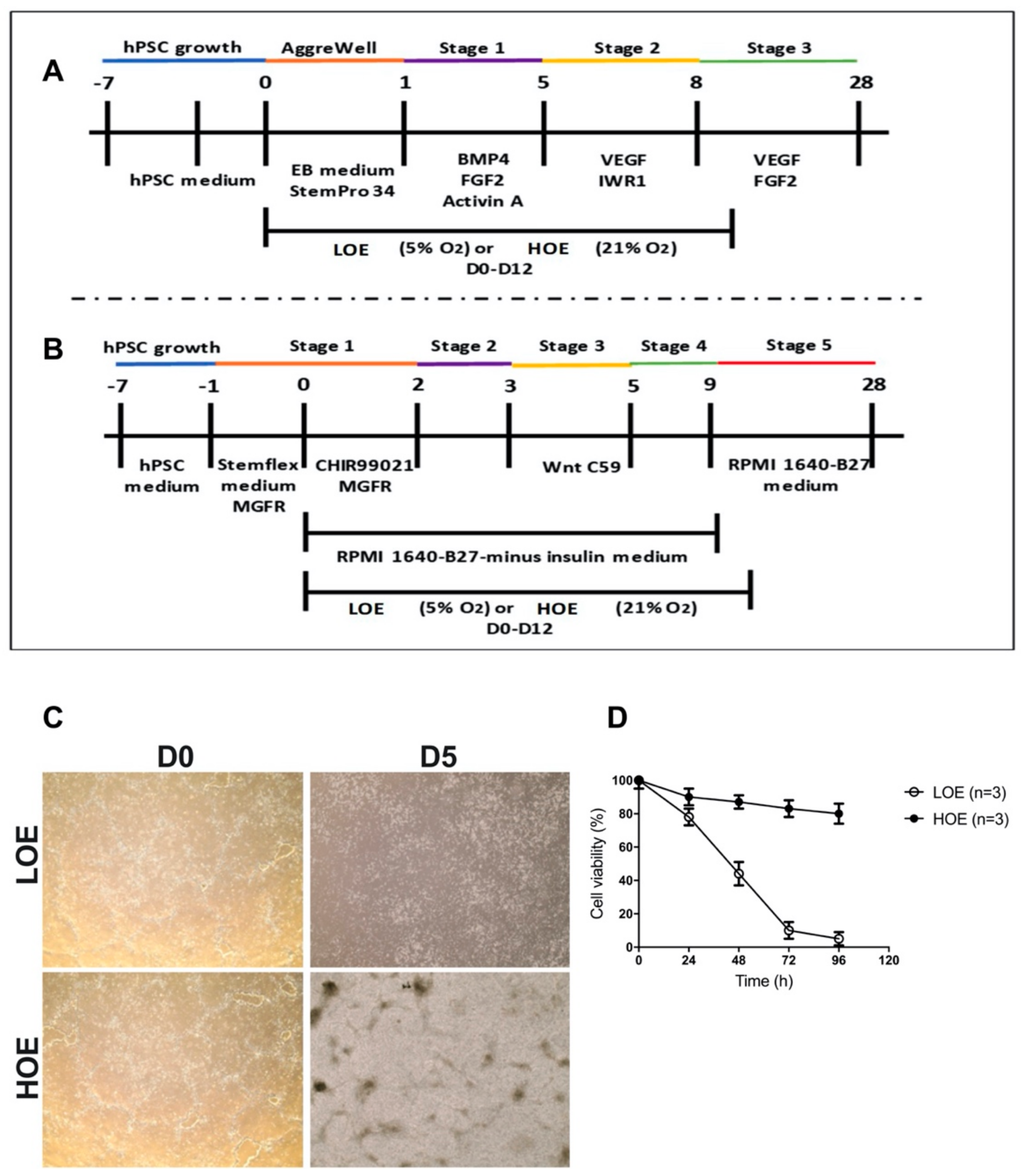 Ijms 22 00662 g001 Ijms 22 00662 g001