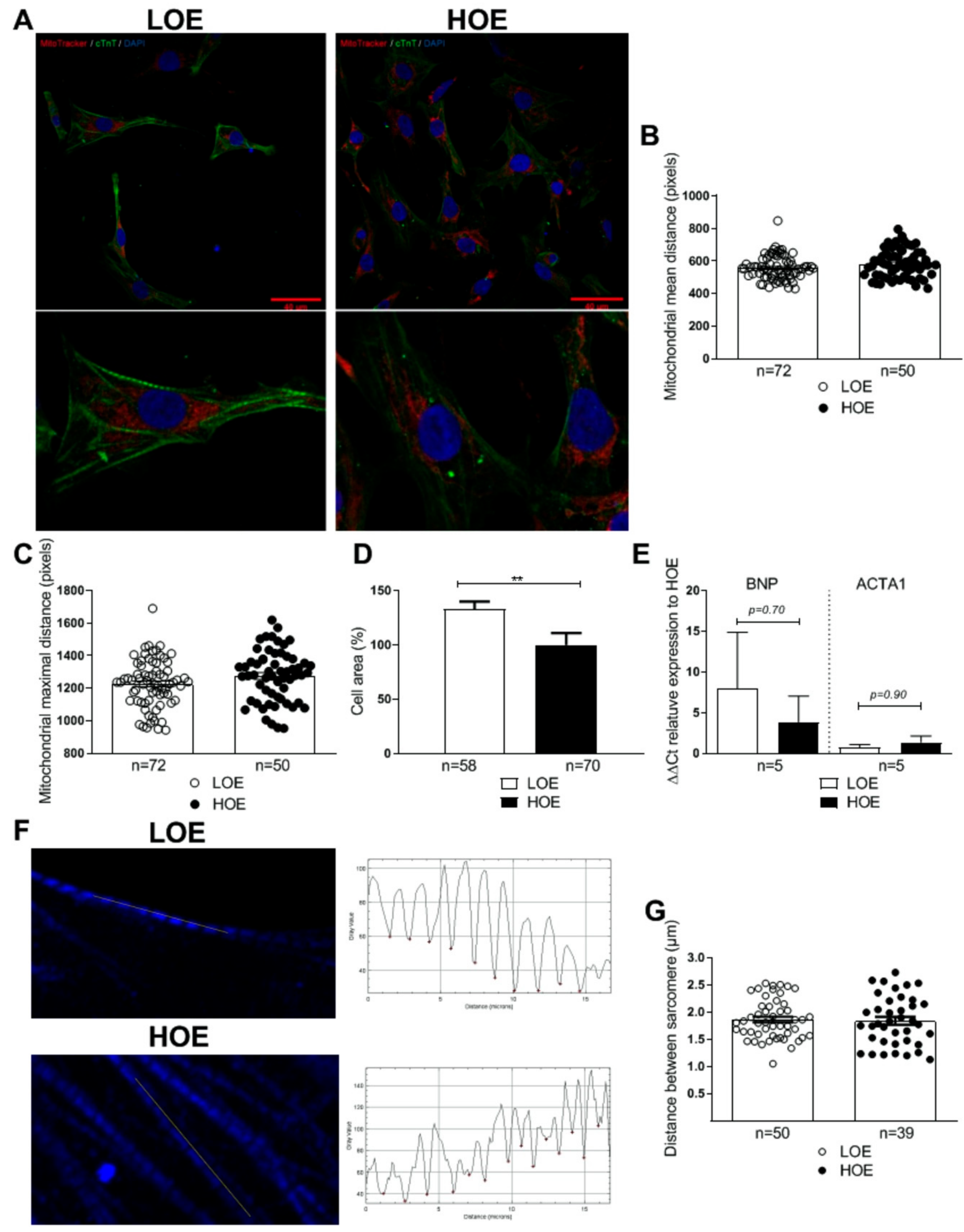 Ijms 22 00662 g003 Ijms 22 00662 g003