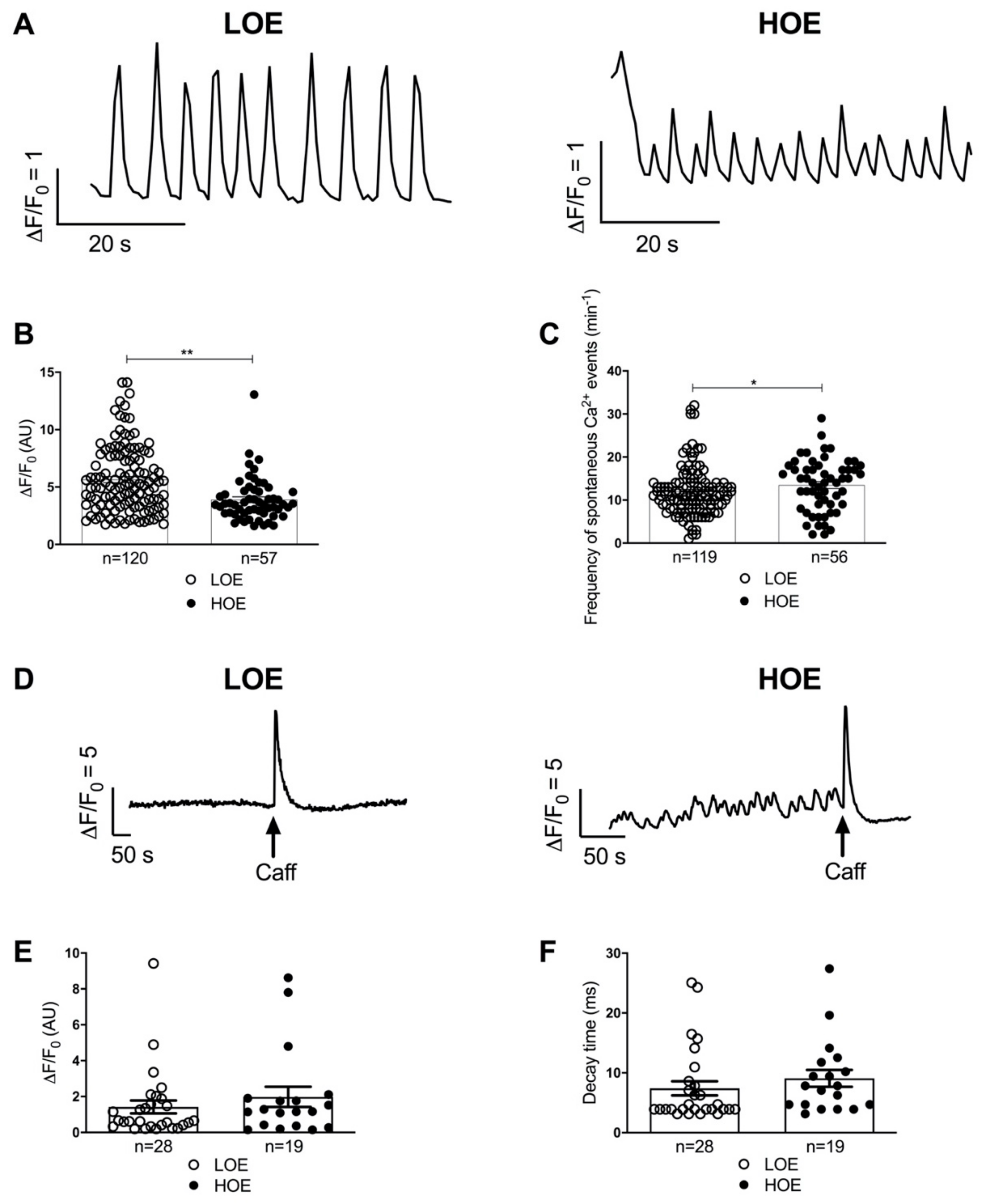 Ijms 22 00662 g006 Ijms 22 00662 g006