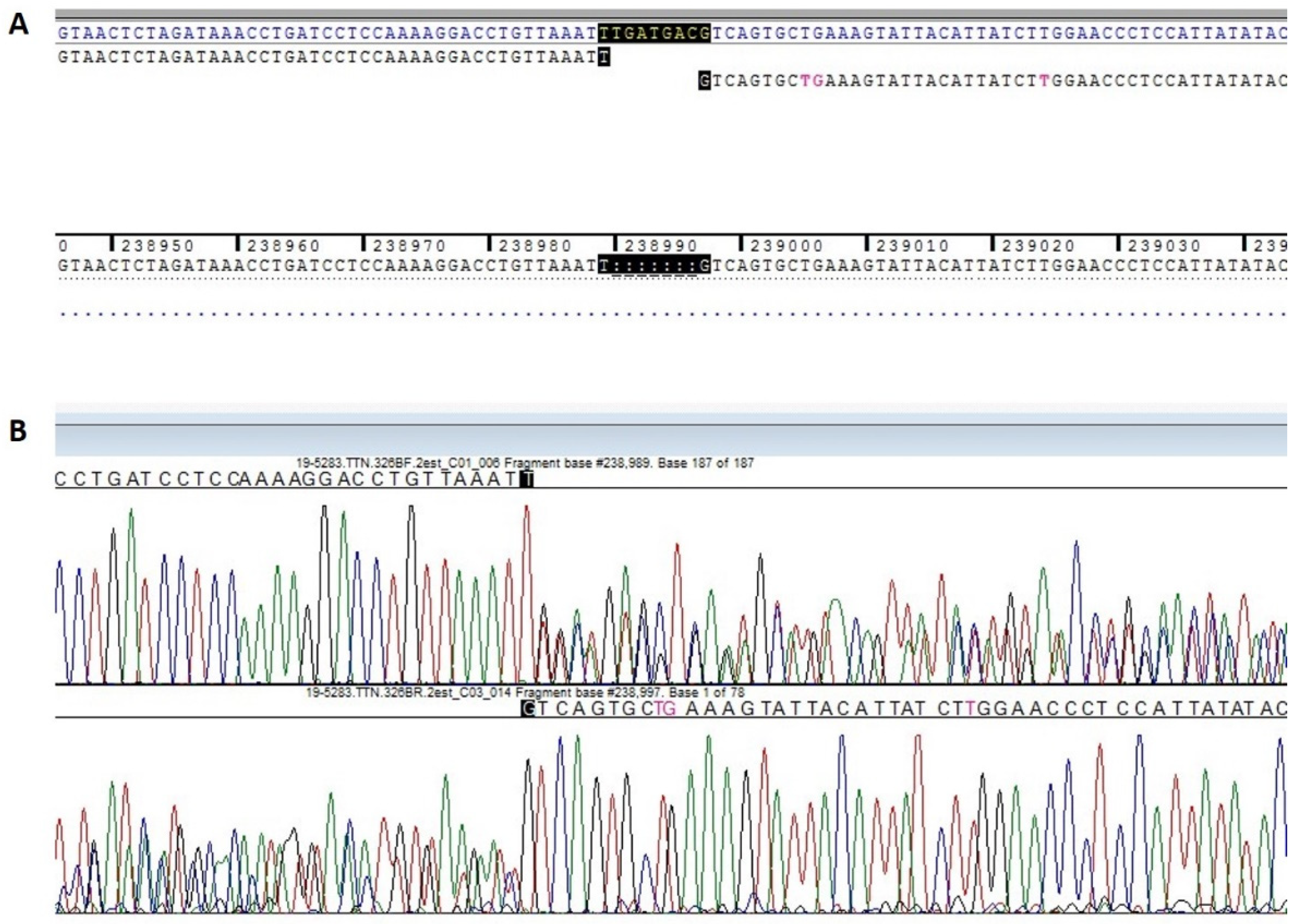 Ijms 22 00670 g003 Ijms 22 00670 g003