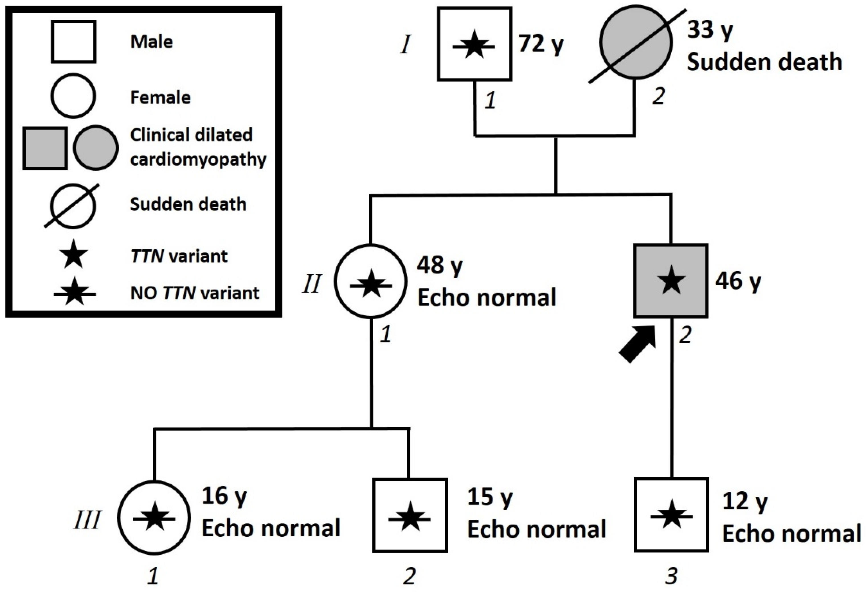 Ijms 22 00670 g004 Ijms 22 00670 g004
