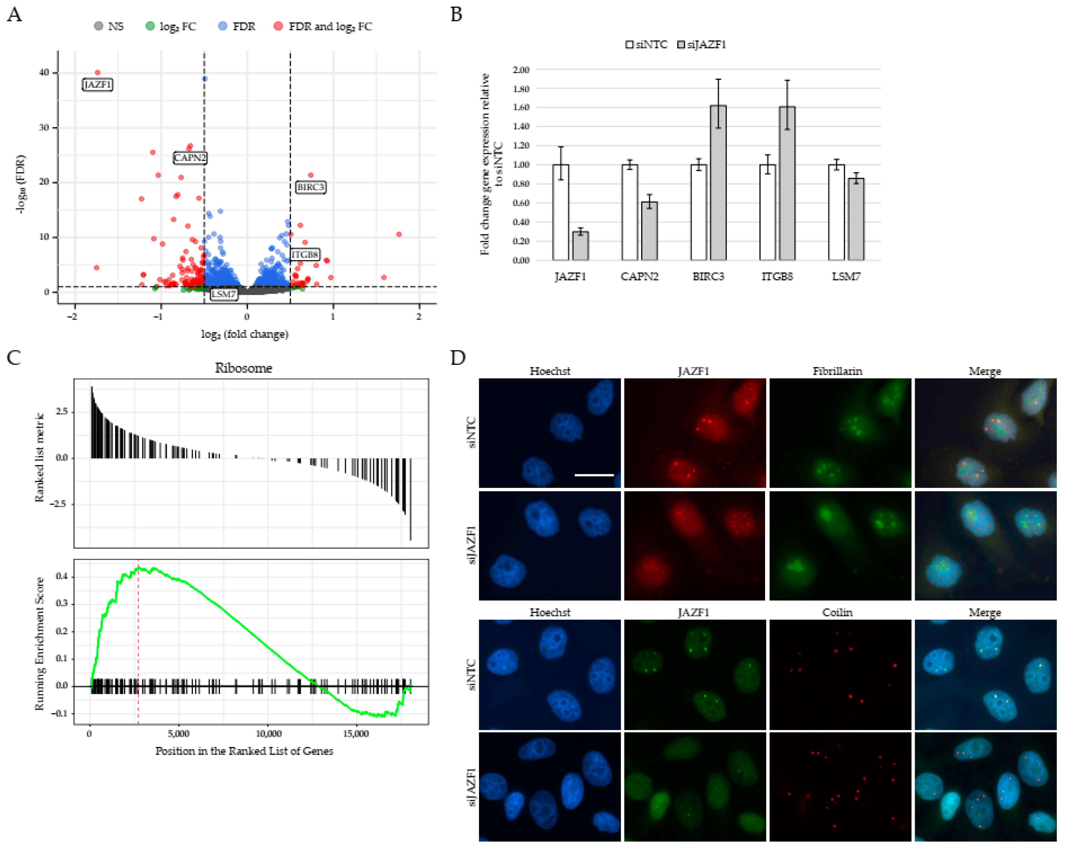 Ijms 22 00678 g003 Ijms 22 00678 g003