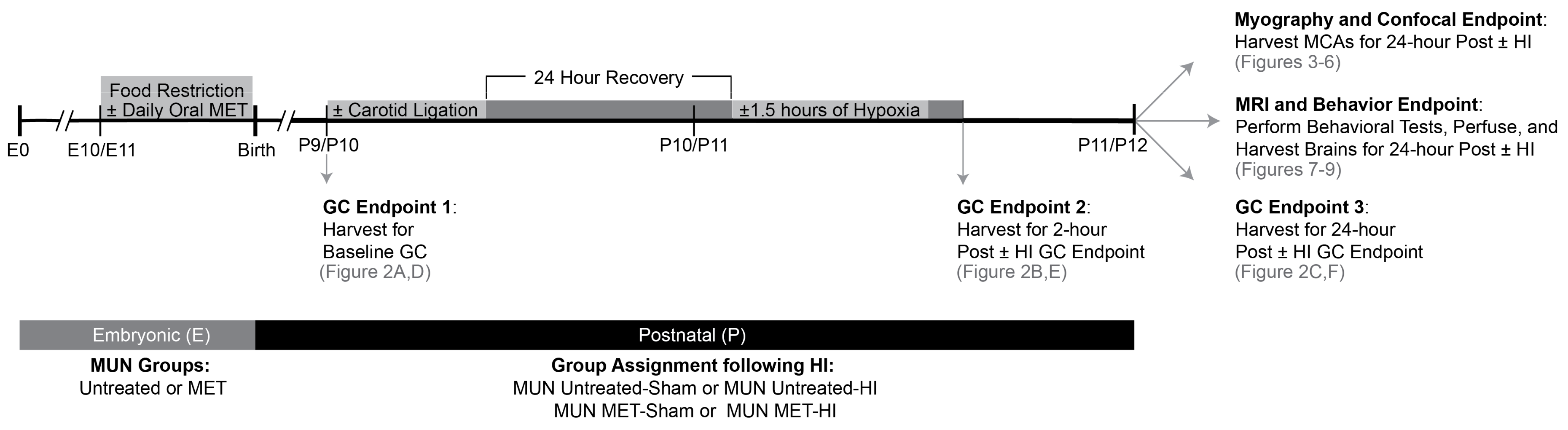 Ijms 22 00680 g001 Ijms 22 00680 g001