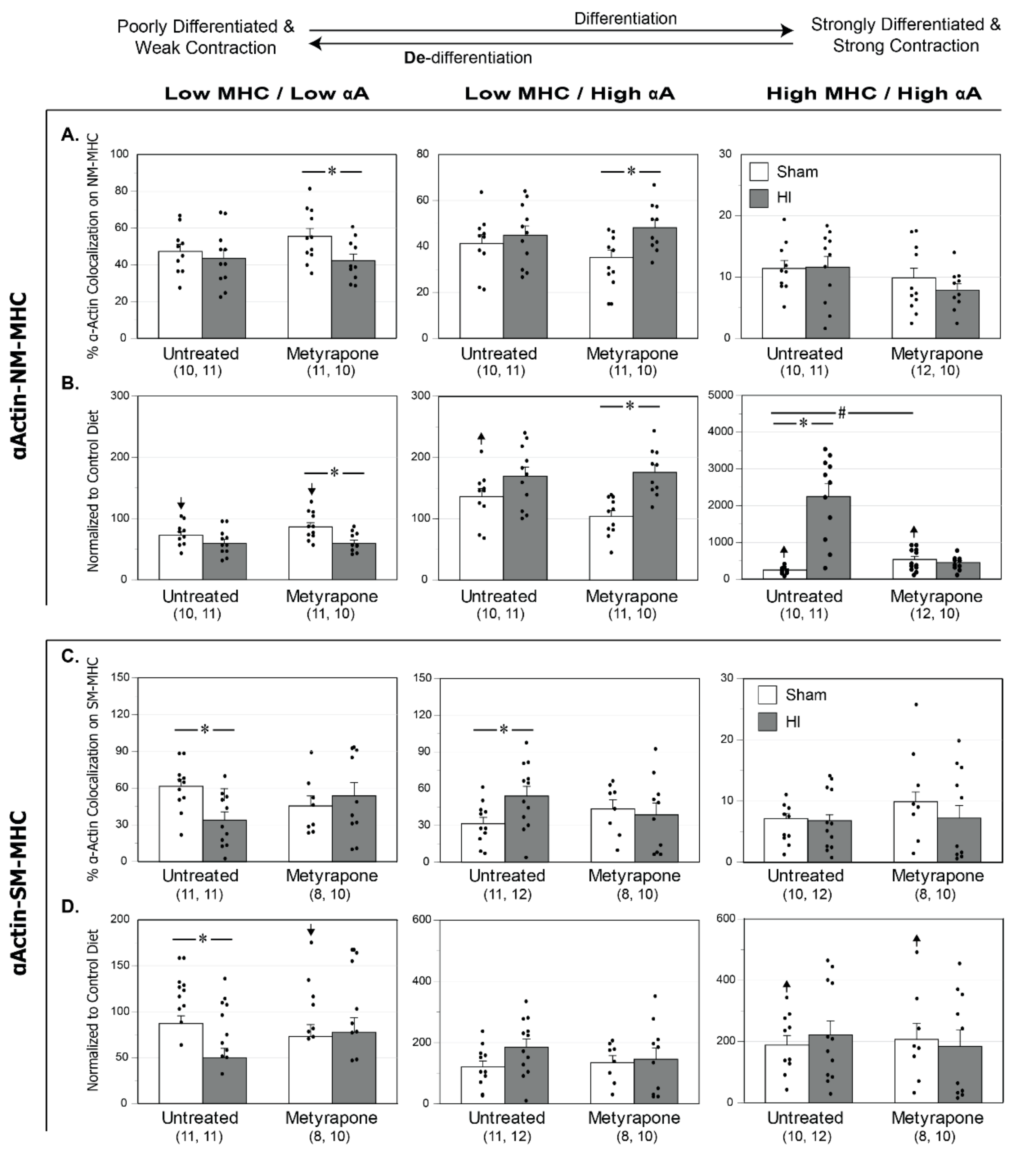 Ijms 22 00680 g004 Ijms 22 00680 g004