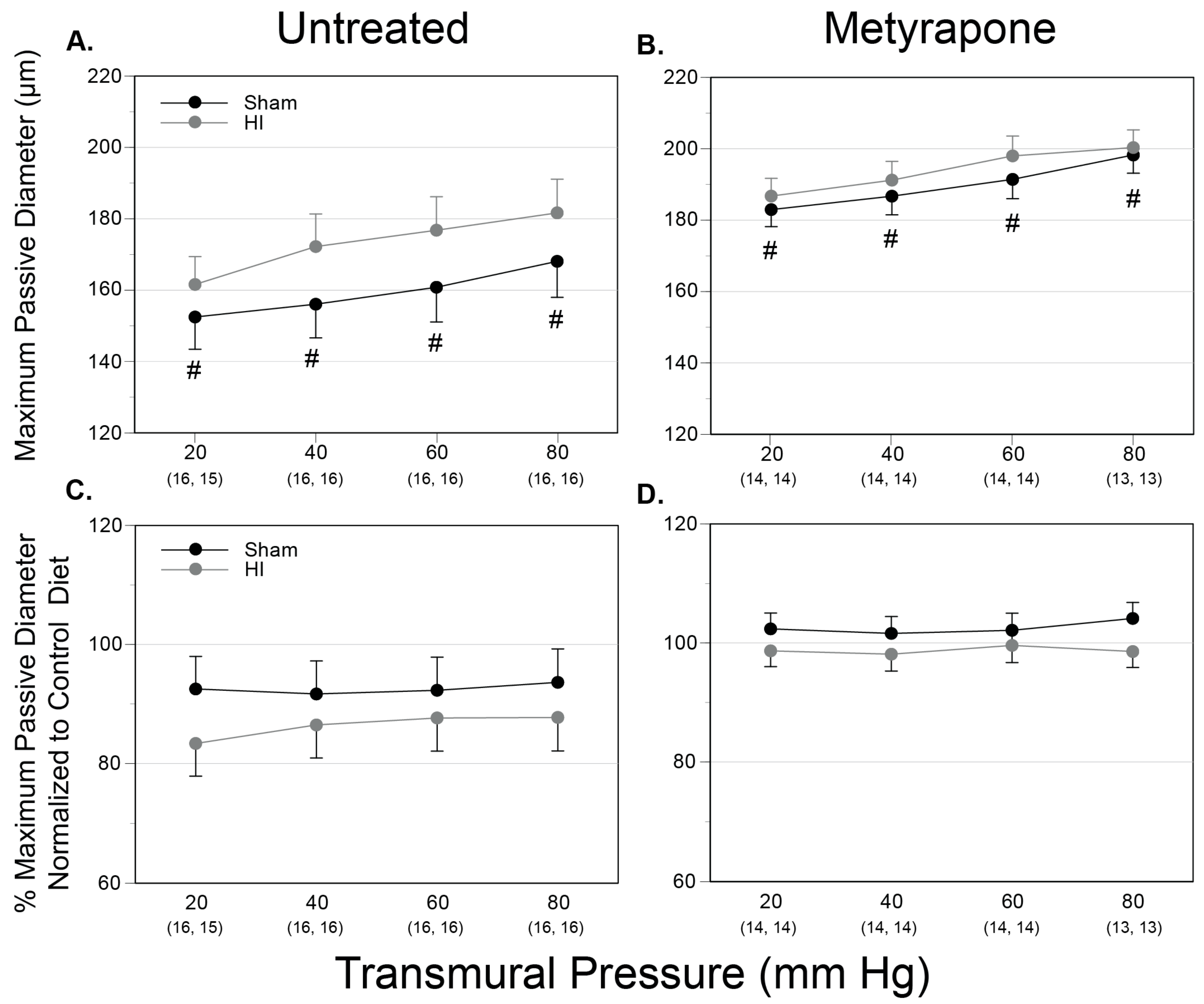 Ijms 22 00680 g005 Ijms 22 00680 g005