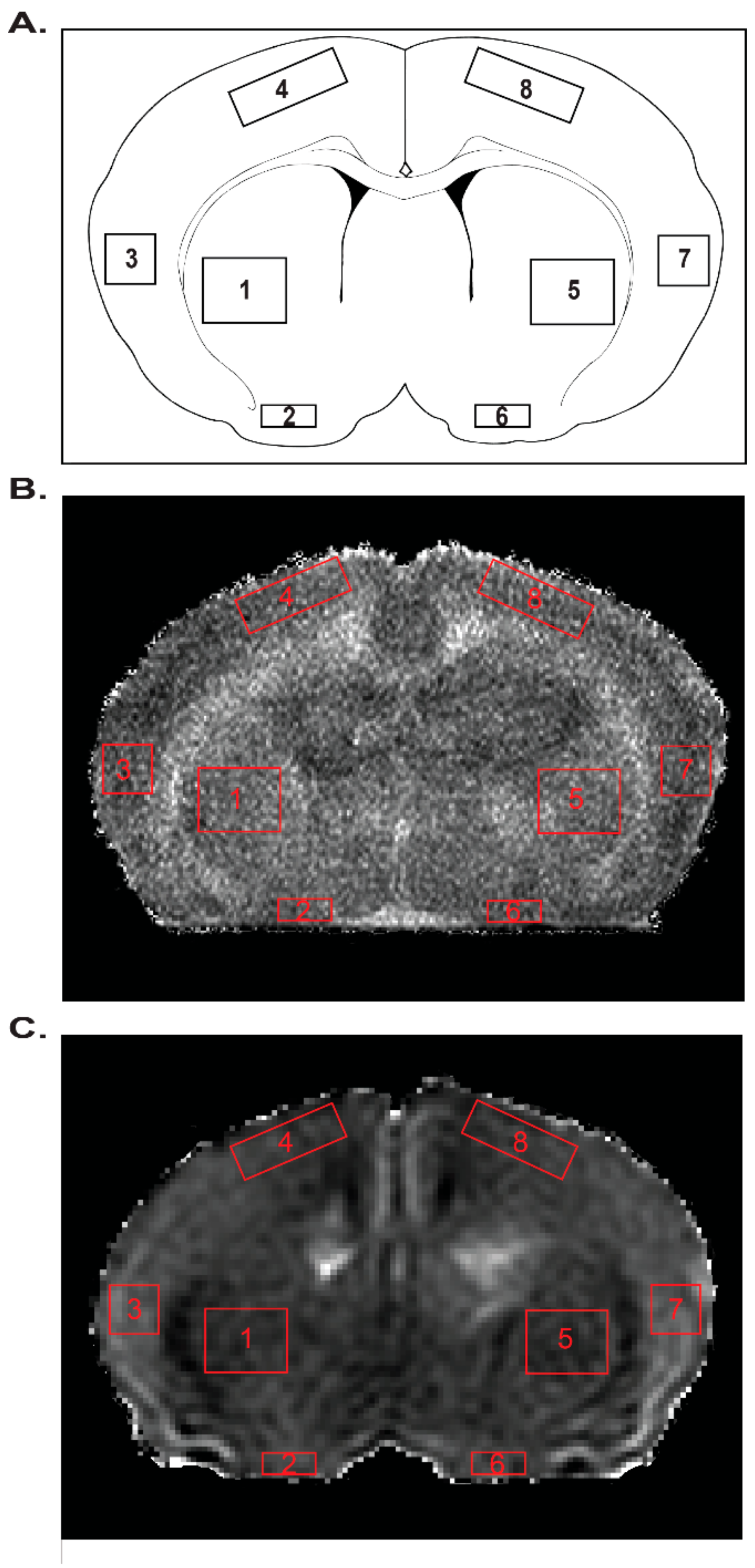 Ijms 22 00680 g007 Ijms 22 00680 g007
