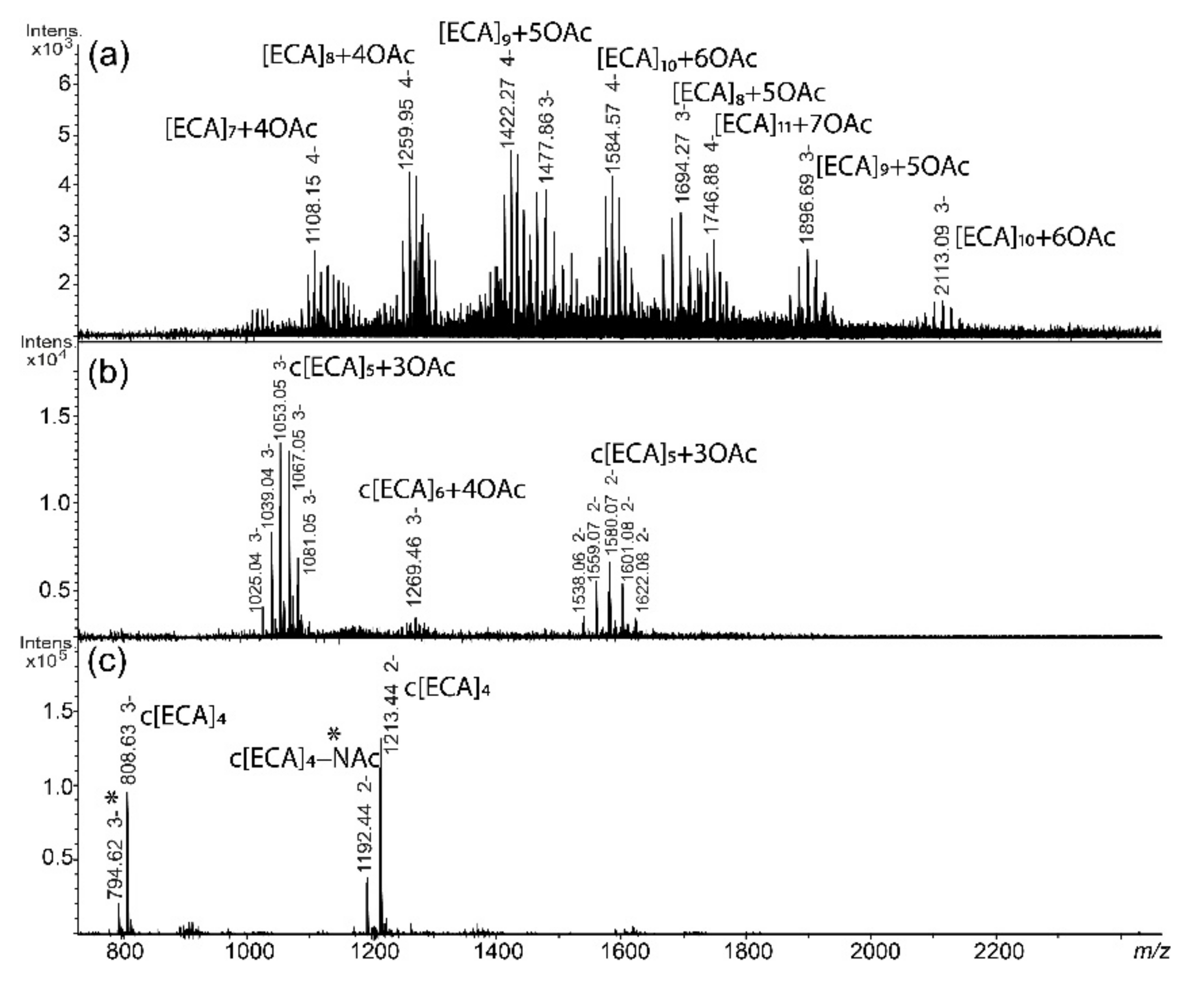 Ijms 22 00701 g002 Ijms 22 00701 g002