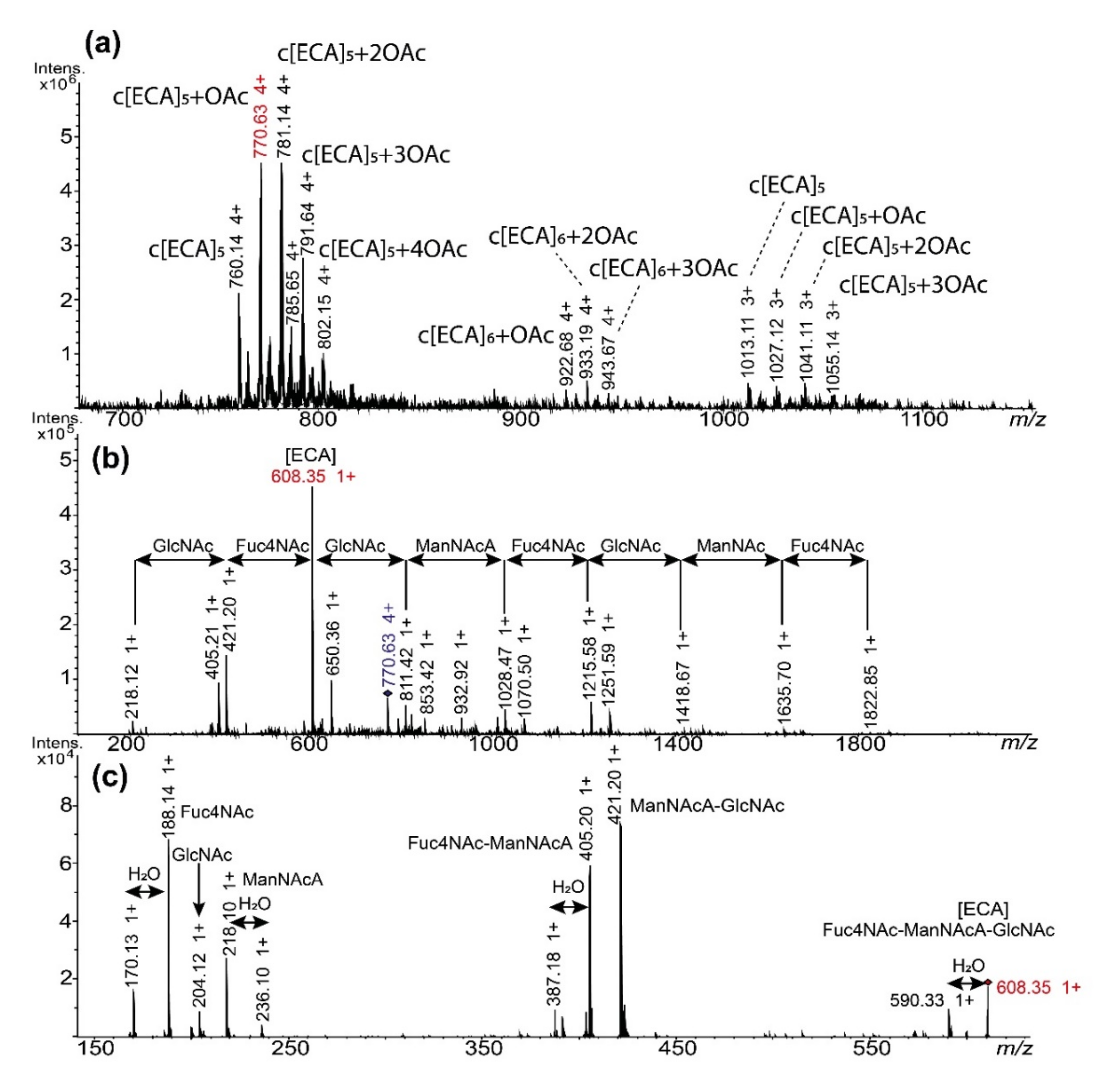 Ijms 22 00701 g005 Ijms 22 00701 g005